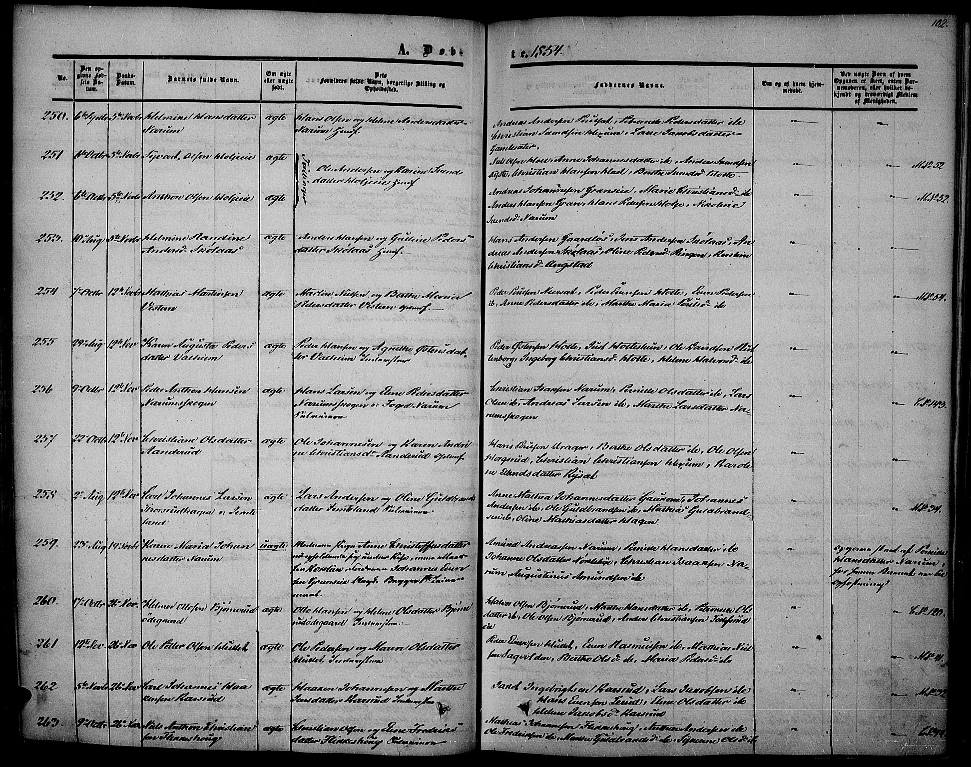 Vestre Toten prestekontor, AV/SAH-PREST-108/H/Ha/Haa/L0005: Parish register (official) no. 5, 1850-1855, p. 102