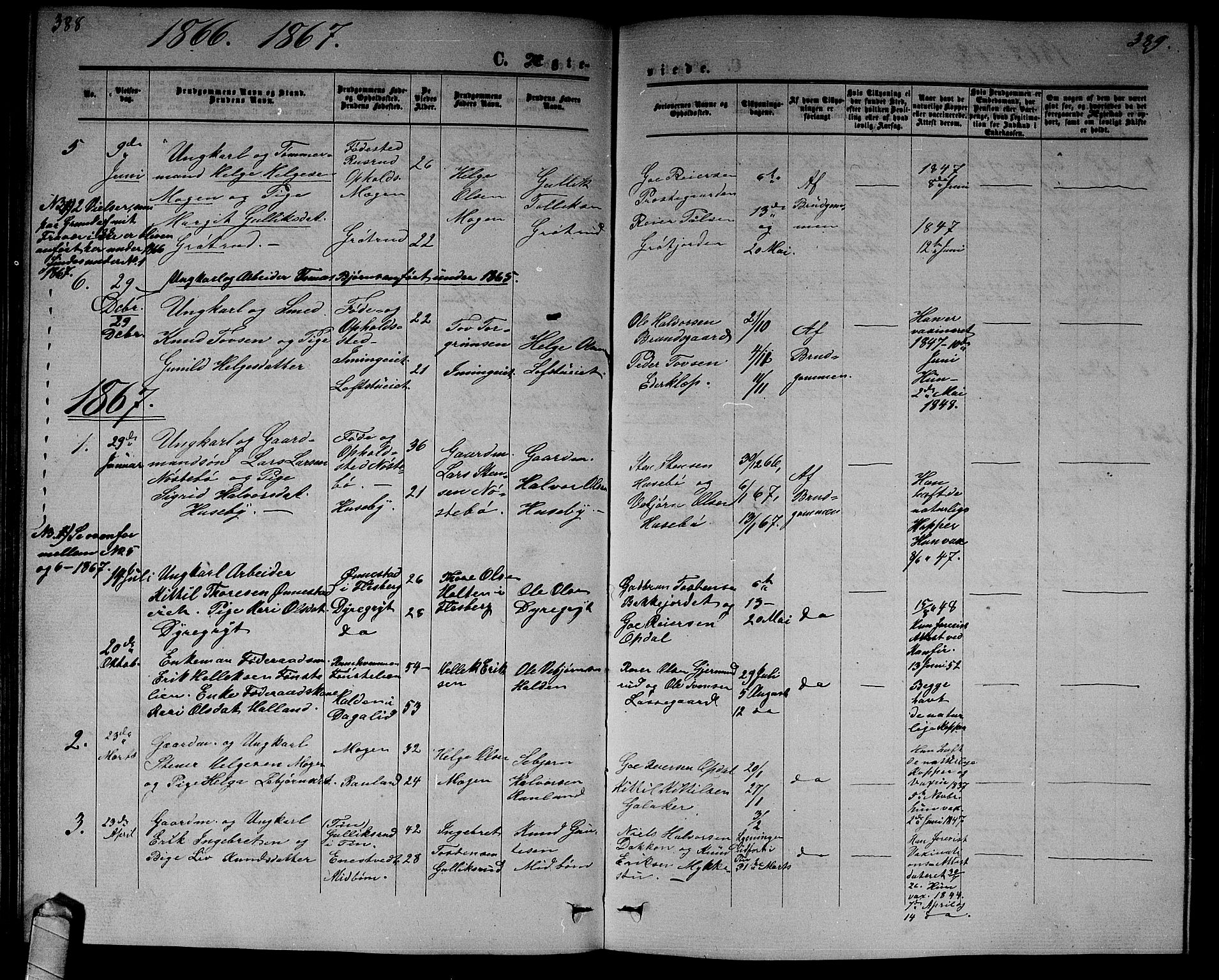 Nore kirkebøker, SAKO/A-238/G/Gb/L0001: Parish register (copy) no. II 1, 1862-1877, p. 388-389