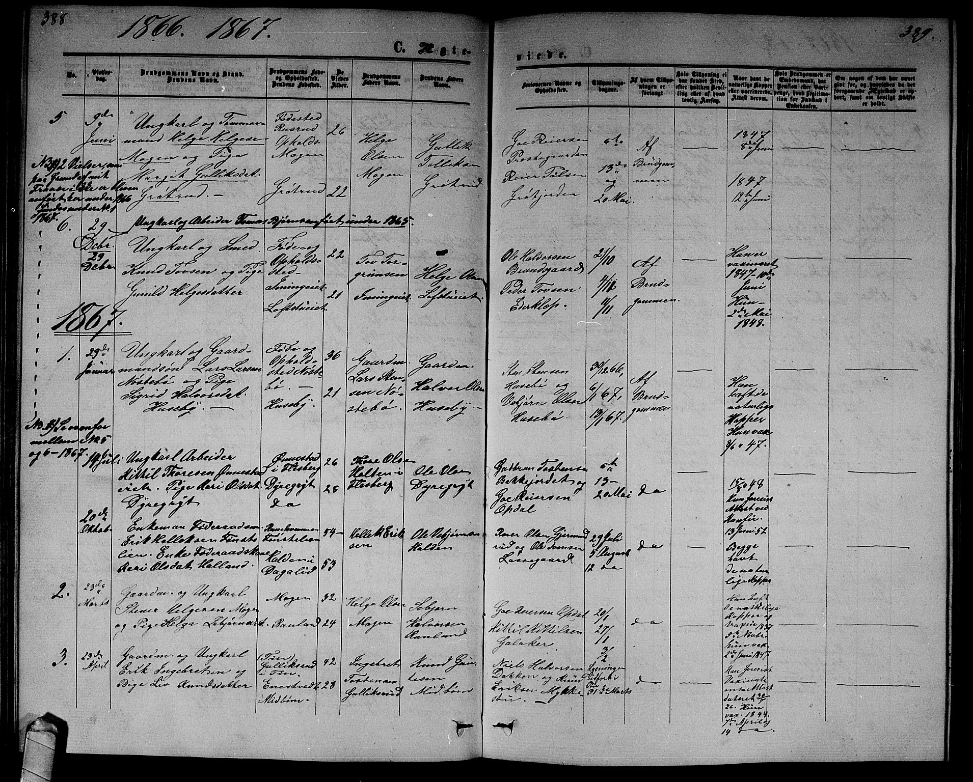 Nore kirkebøker, AV/SAKO-A-238/G/Gb/L0001: Parish register (copy) no. II 1, 1862-1877, p. 388-389