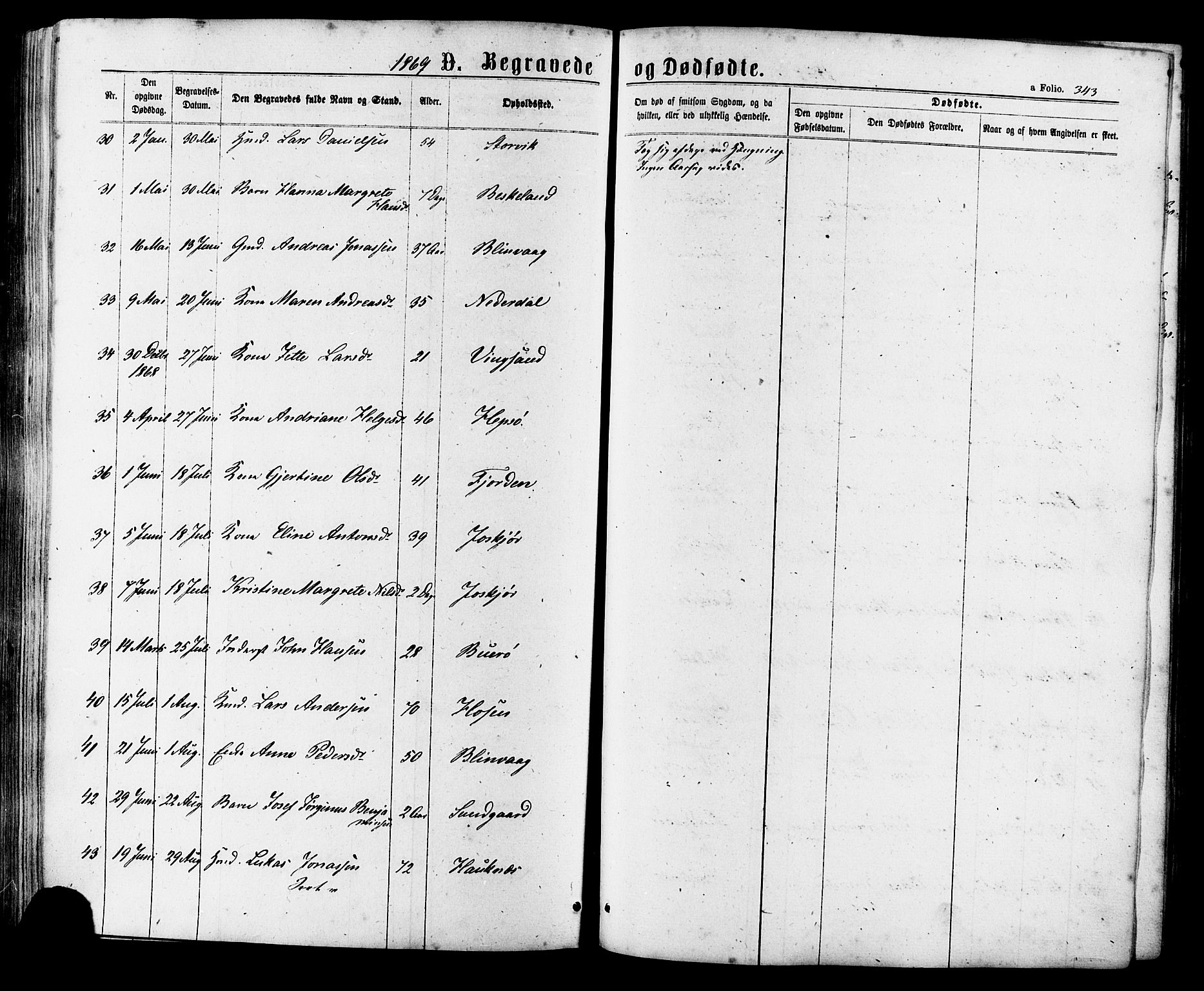 Ministerialprotokoller, klokkerbøker og fødselsregistre - Sør-Trøndelag, AV/SAT-A-1456/657/L0706: Parish register (official) no. 657A07, 1867-1878, p. 343