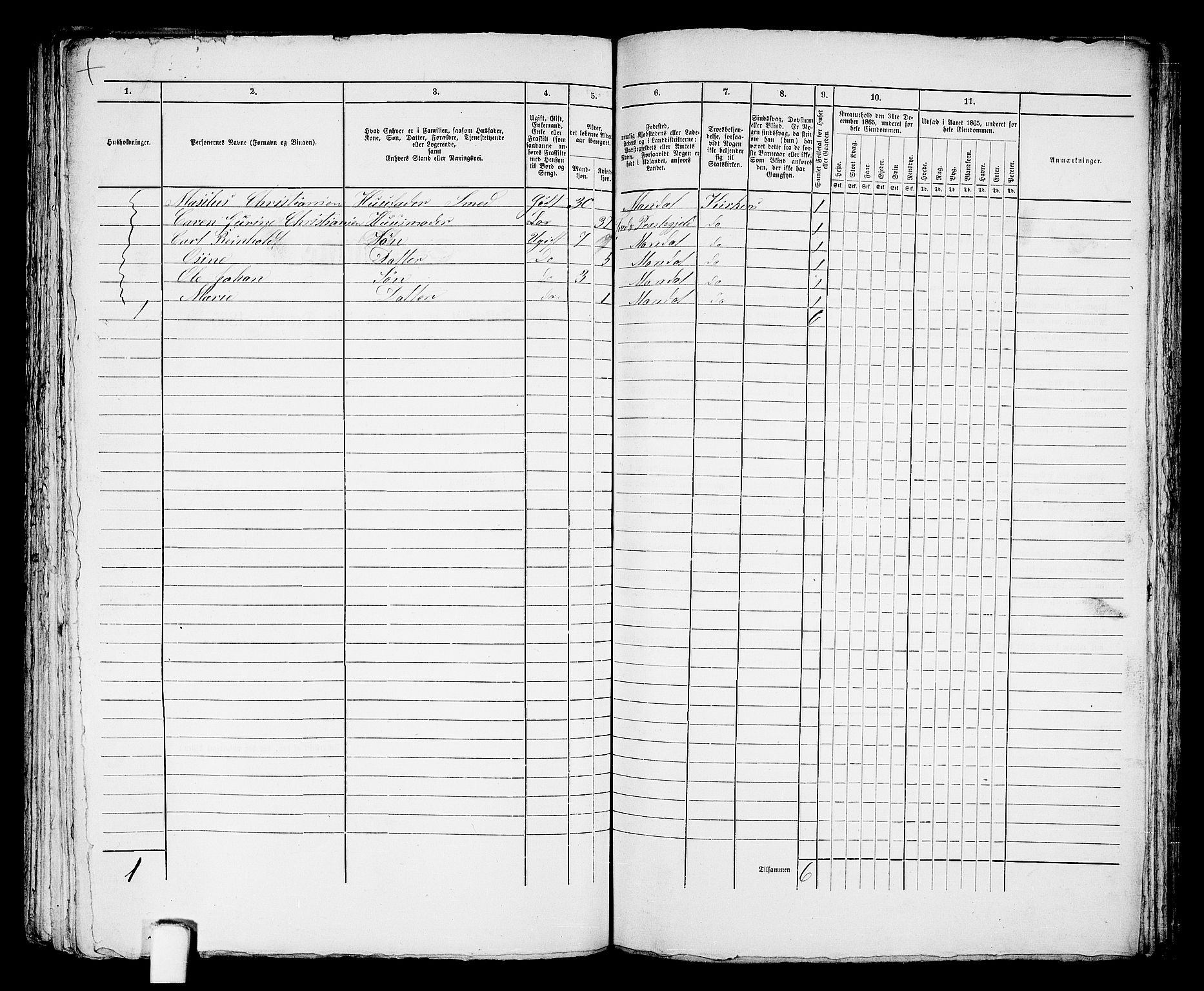 RA, 1865 census for Mandal/Mandal, 1865, p. 839