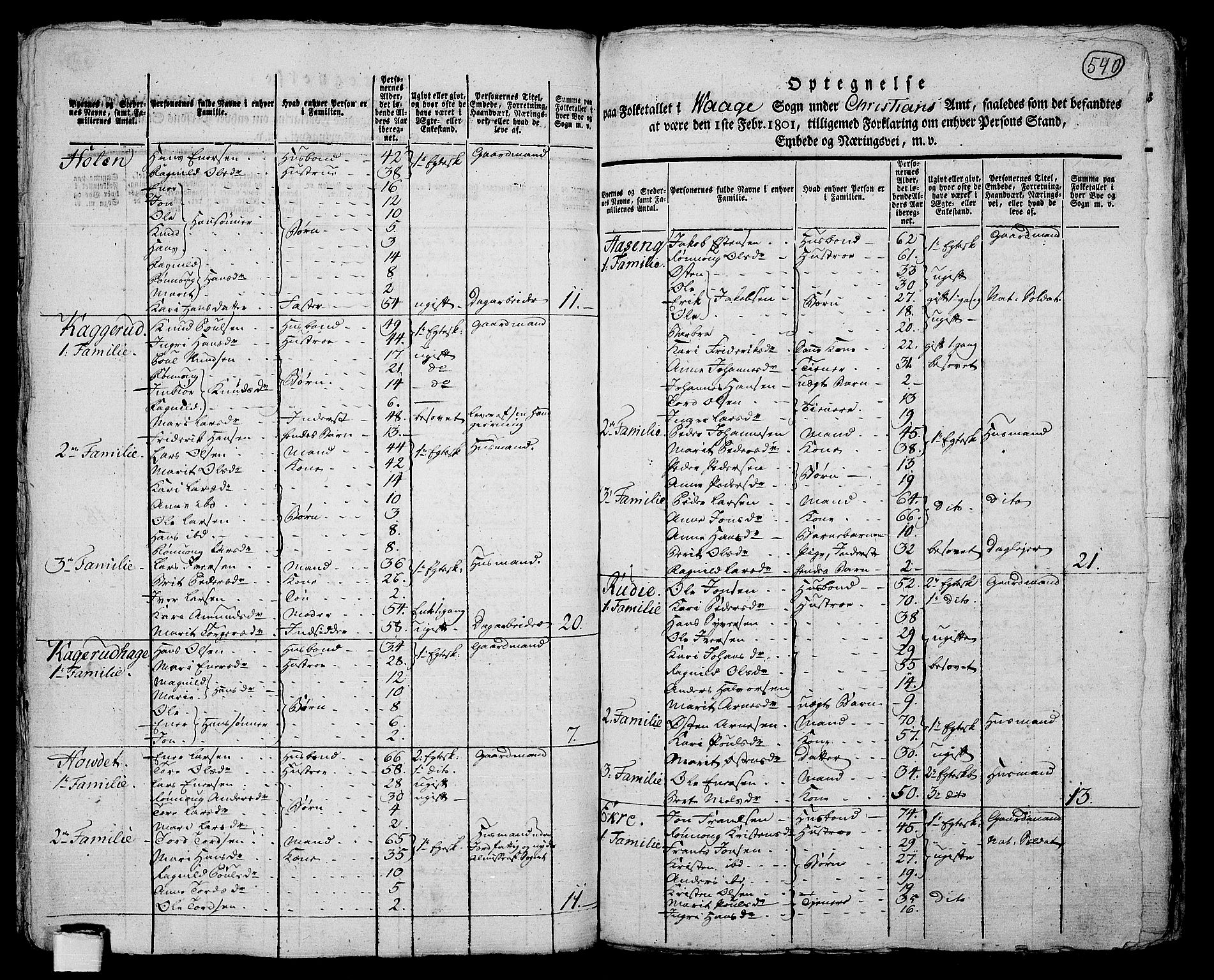 RA, 1801 census for 0515P Vågå, 1801, p. 539b-540a