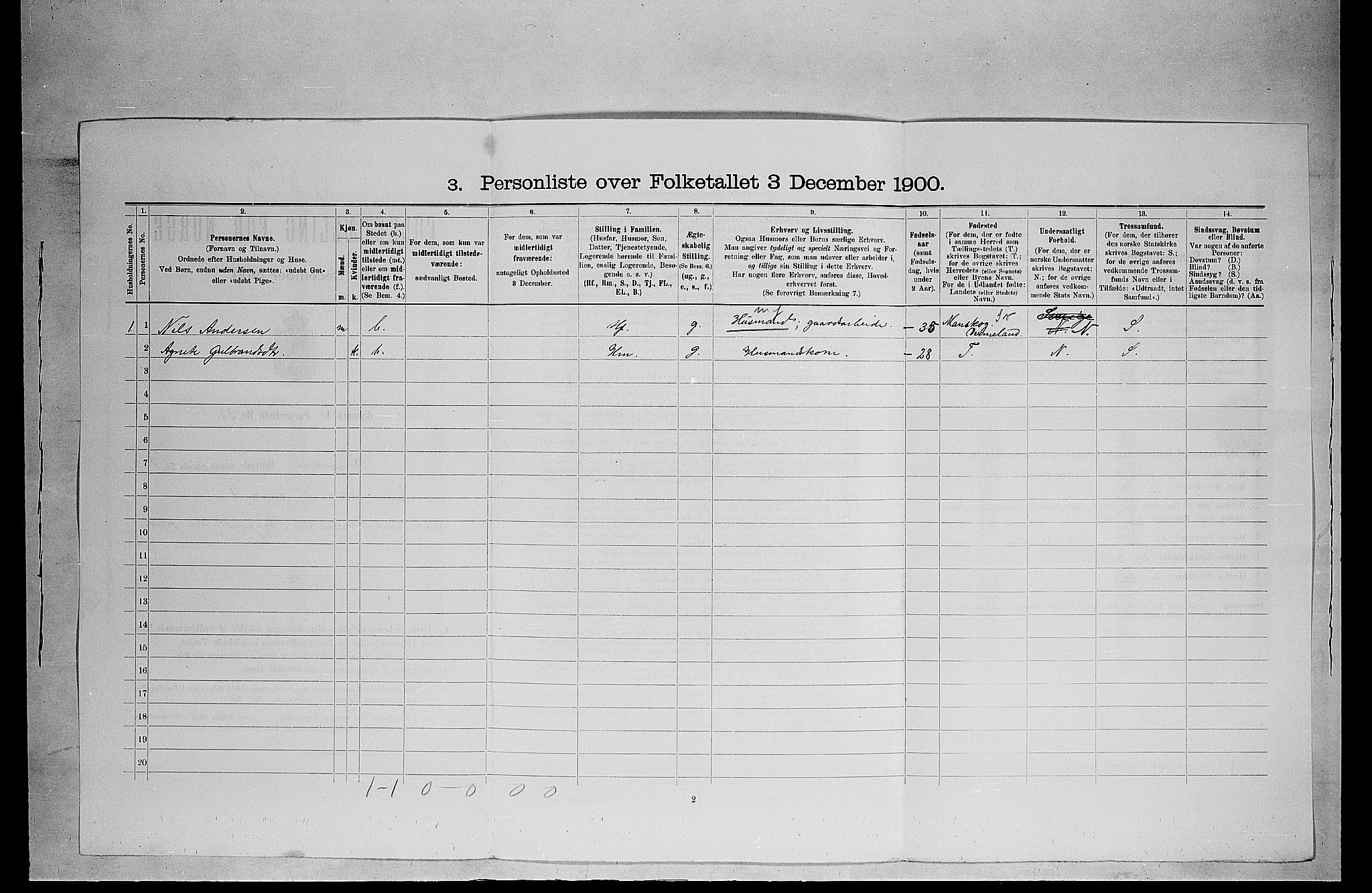 SAH, 1900 census for Ringsaker, 1900, p. 160