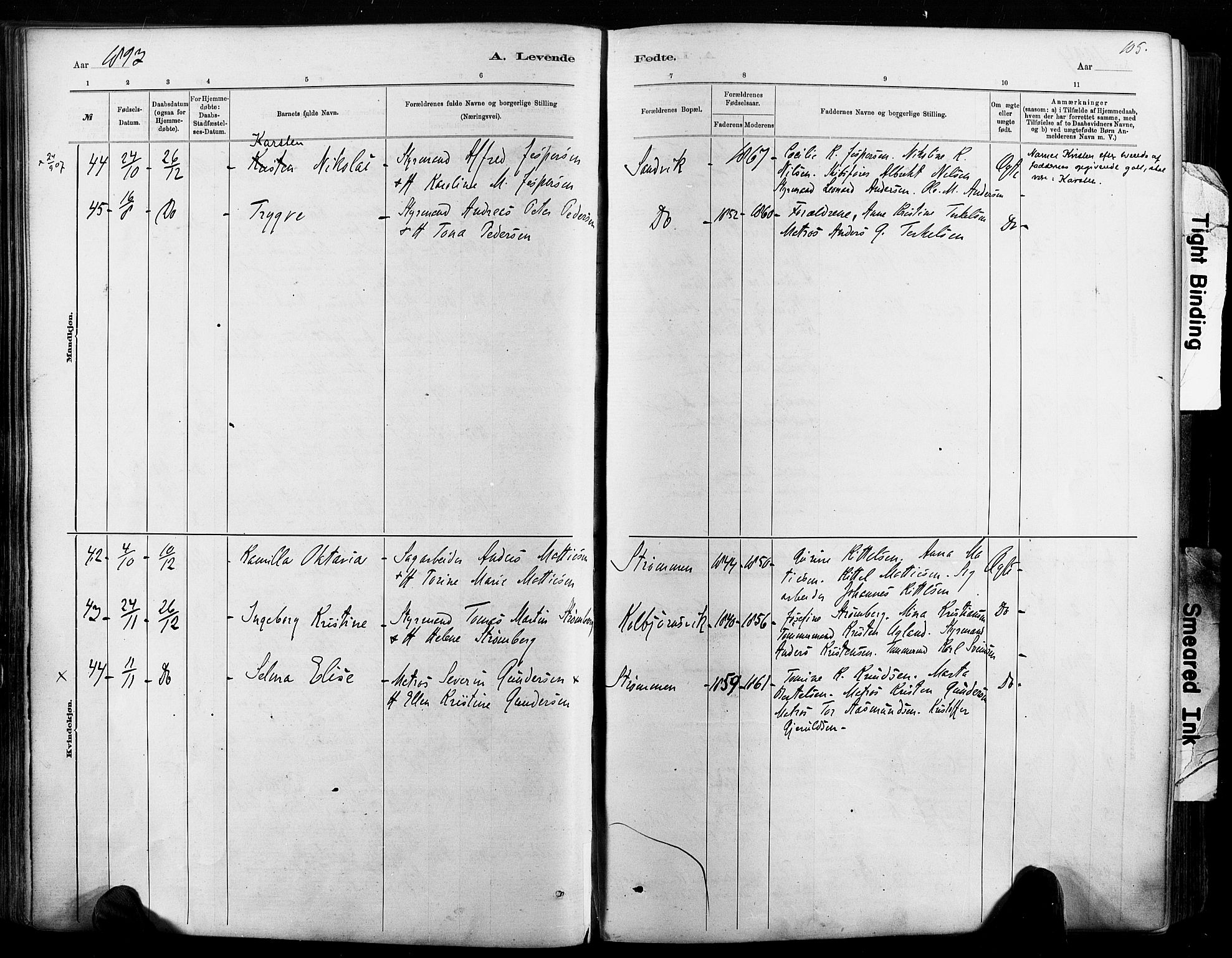 Hisøy sokneprestkontor, AV/SAK-1111-0020/F/Fa/L0003: Parish register (official) no. A 3, 1881-1894, p. 105