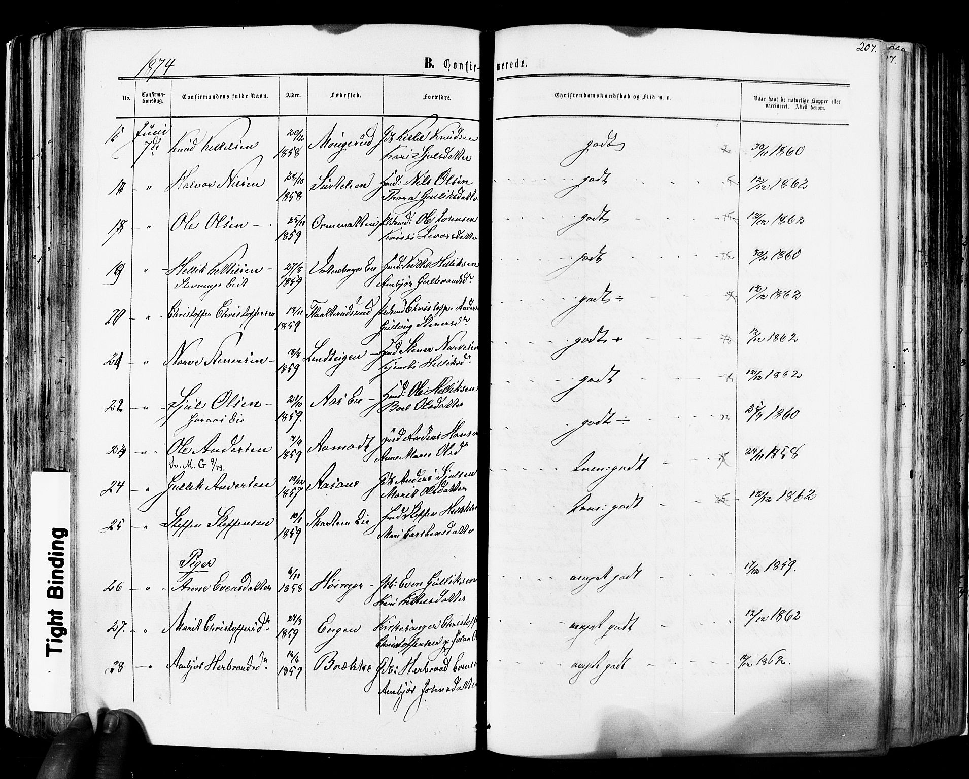 Flesberg kirkebøker, SAKO/A-18/F/Fa/L0007: Parish register (official) no. I 7, 1861-1878, p. 207