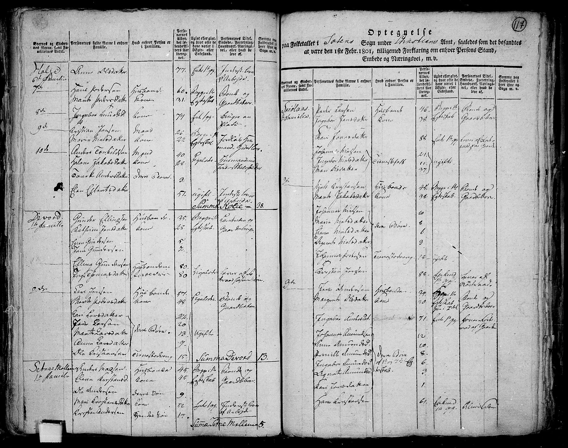 RA, 1801 census for 0528P Toten, 1801, p. 116b-117a