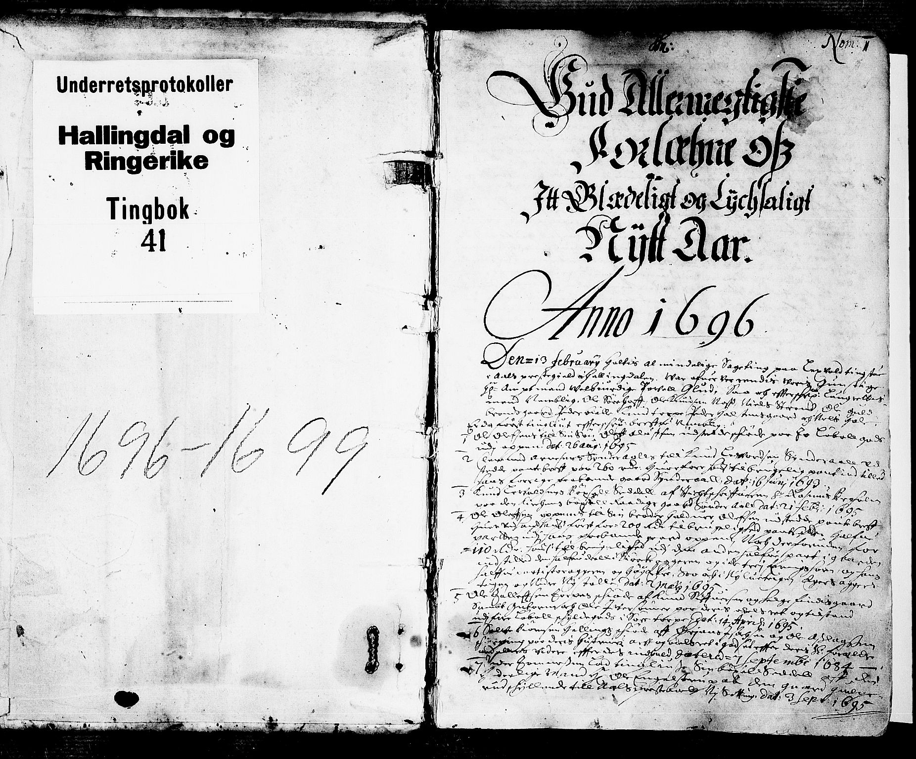 Ringerike og Hallingdal sorenskriveri, SAKO/A-81/F/Fa/Faa/L0023: Tingbok, 1696-1699, p. 1