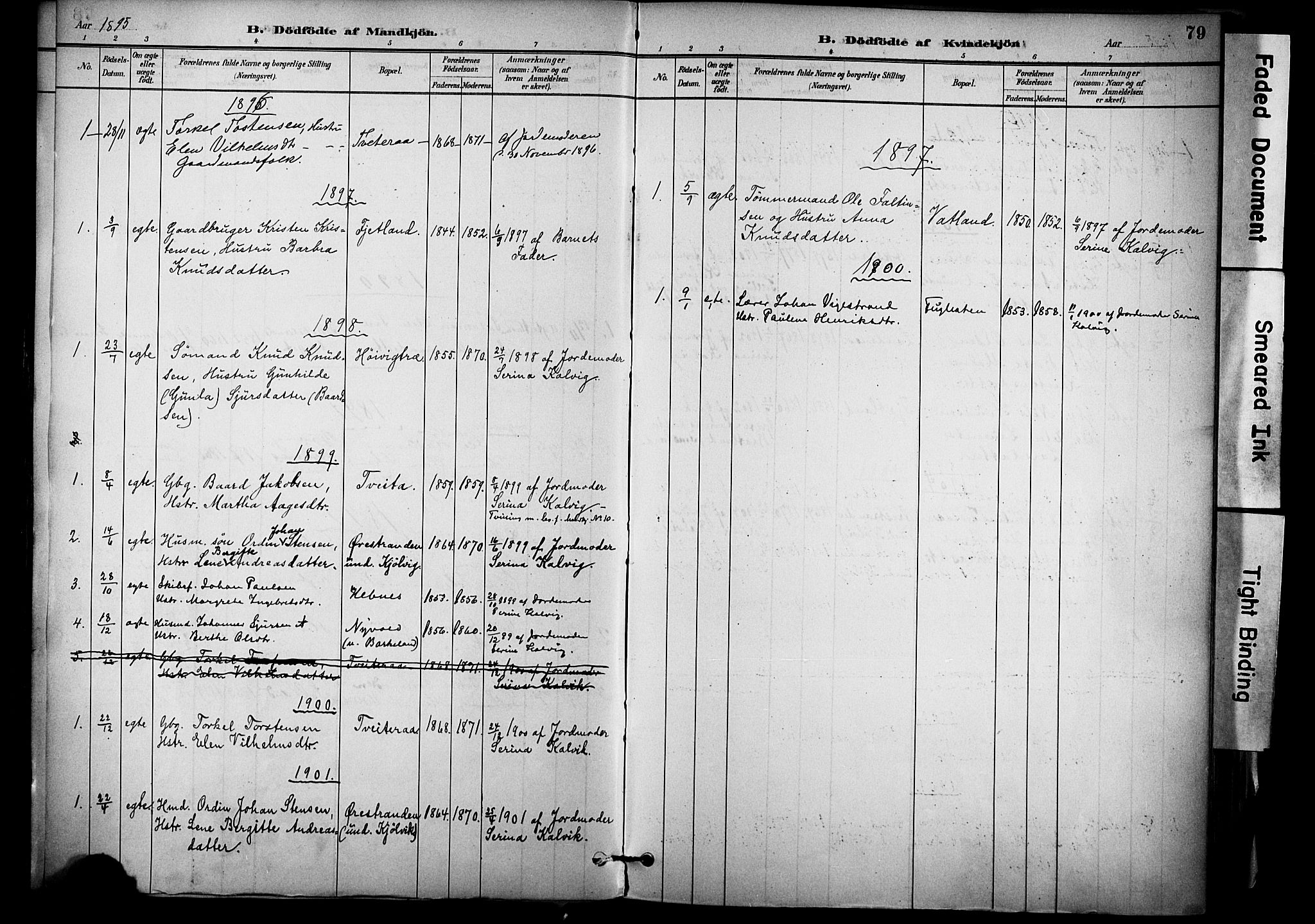 Jelsa sokneprestkontor, SAST/A-101842/01/IV: Parish register (official) no. A 10, 1884-1906, p. 79