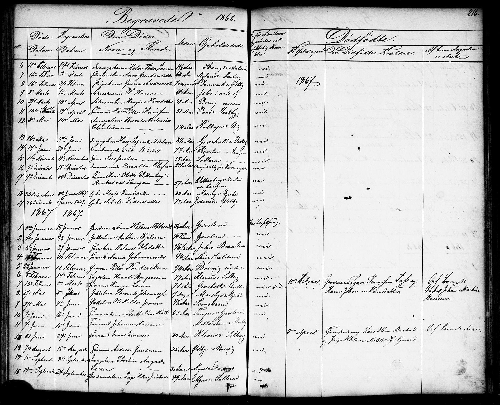 Enebakk prestekontor Kirkebøker, SAO/A-10171c/G/Gb/L0001: Parish register (copy) no. II 1, 1859-1890, p. 216