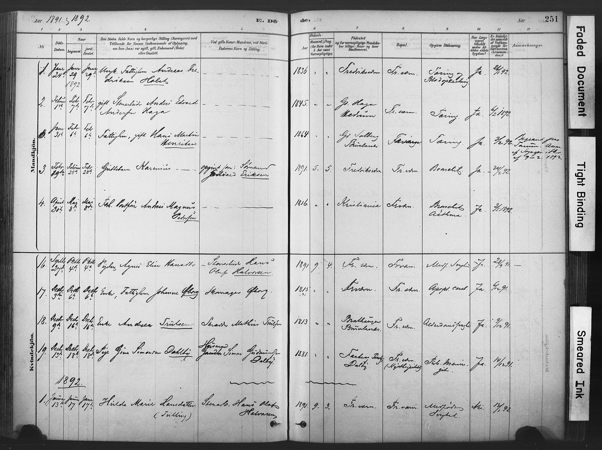 Stavern kirkebøker, AV/SAKO-A-318/F/Fa/L0008: Parish register (official) no. 8, 1878-1905, p. 251