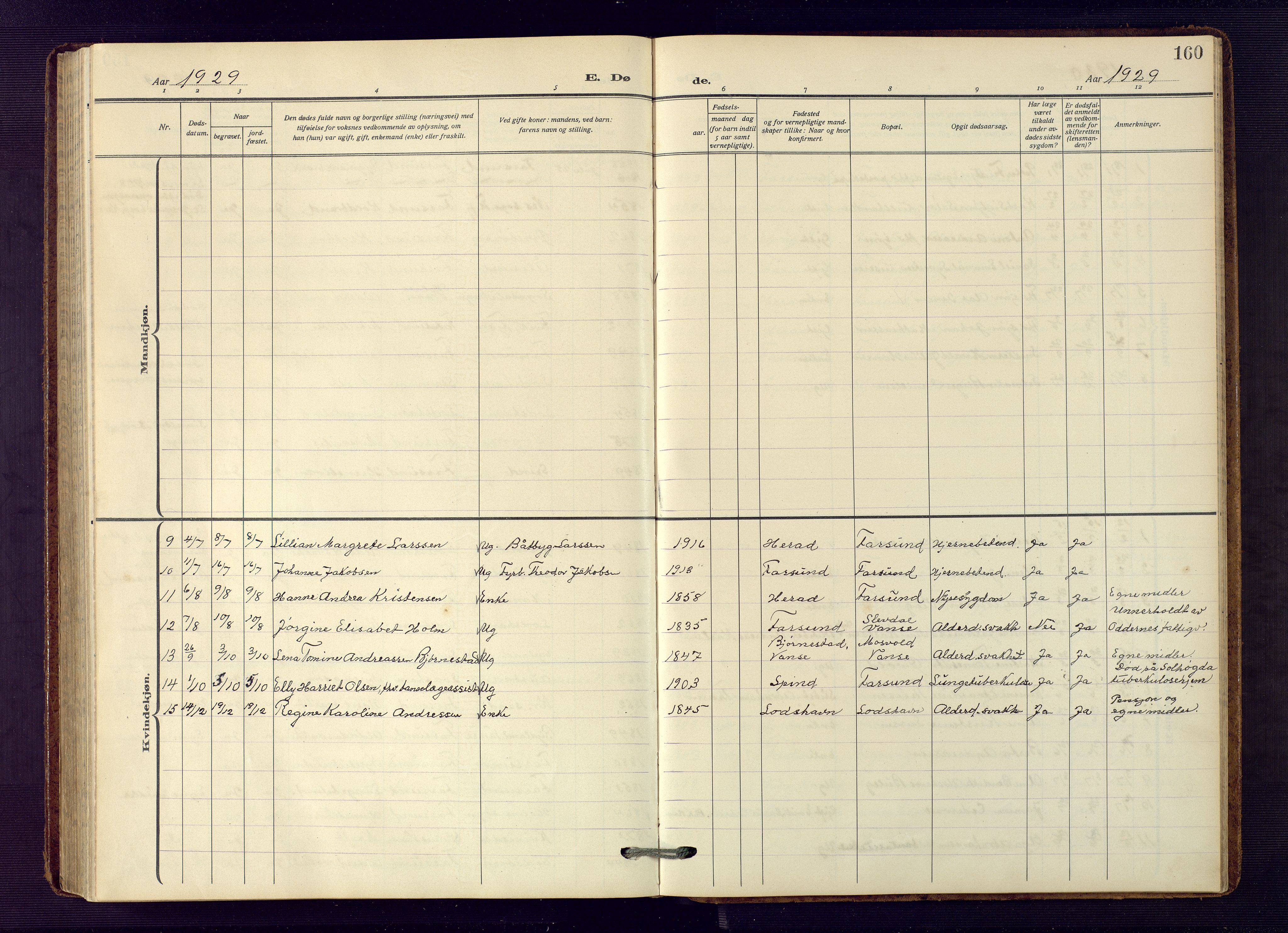 Farsund sokneprestkontor, SAK/1111-0009/F/Fb/L0002: Parish register (copy) no. B 2, 1914-1958, p. 160