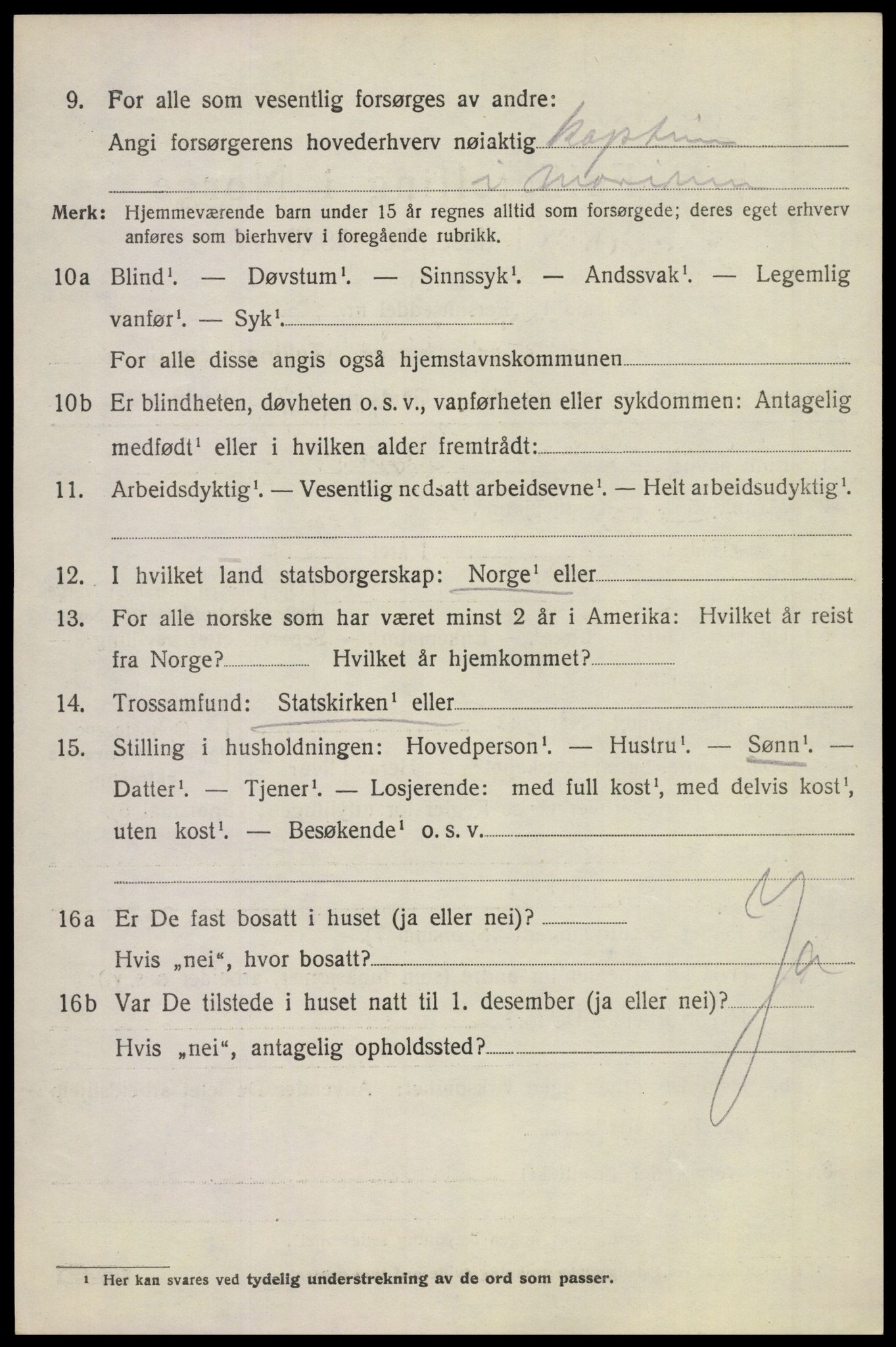 SAKO, 1920 census for Borre, 1920, p. 4937