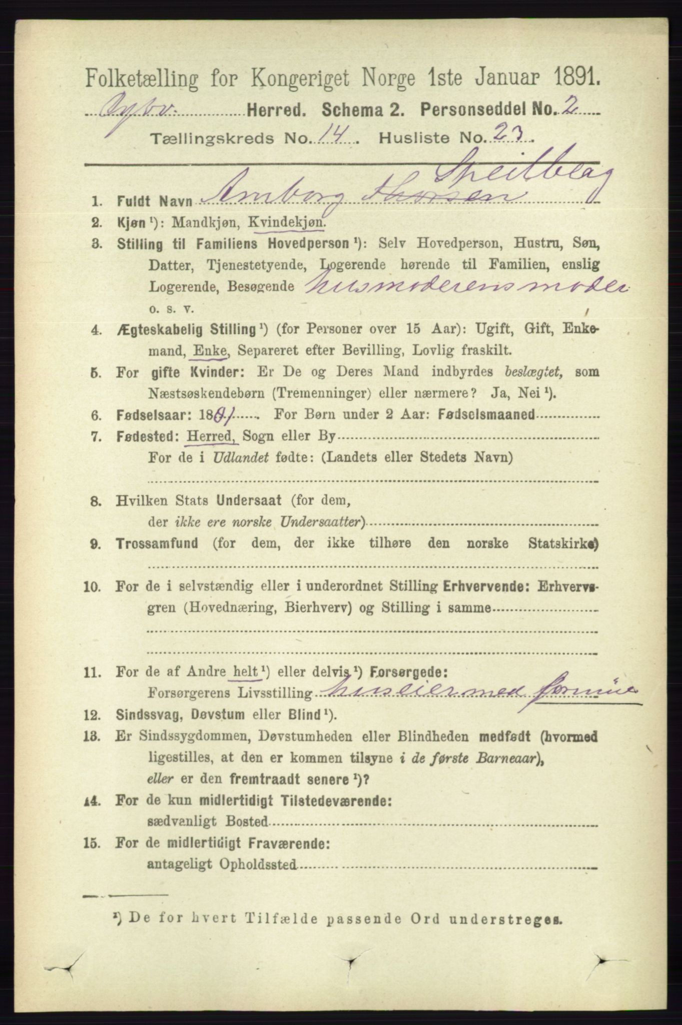 RA, 1891 census for 0915 Dypvåg, 1891, p. 5878