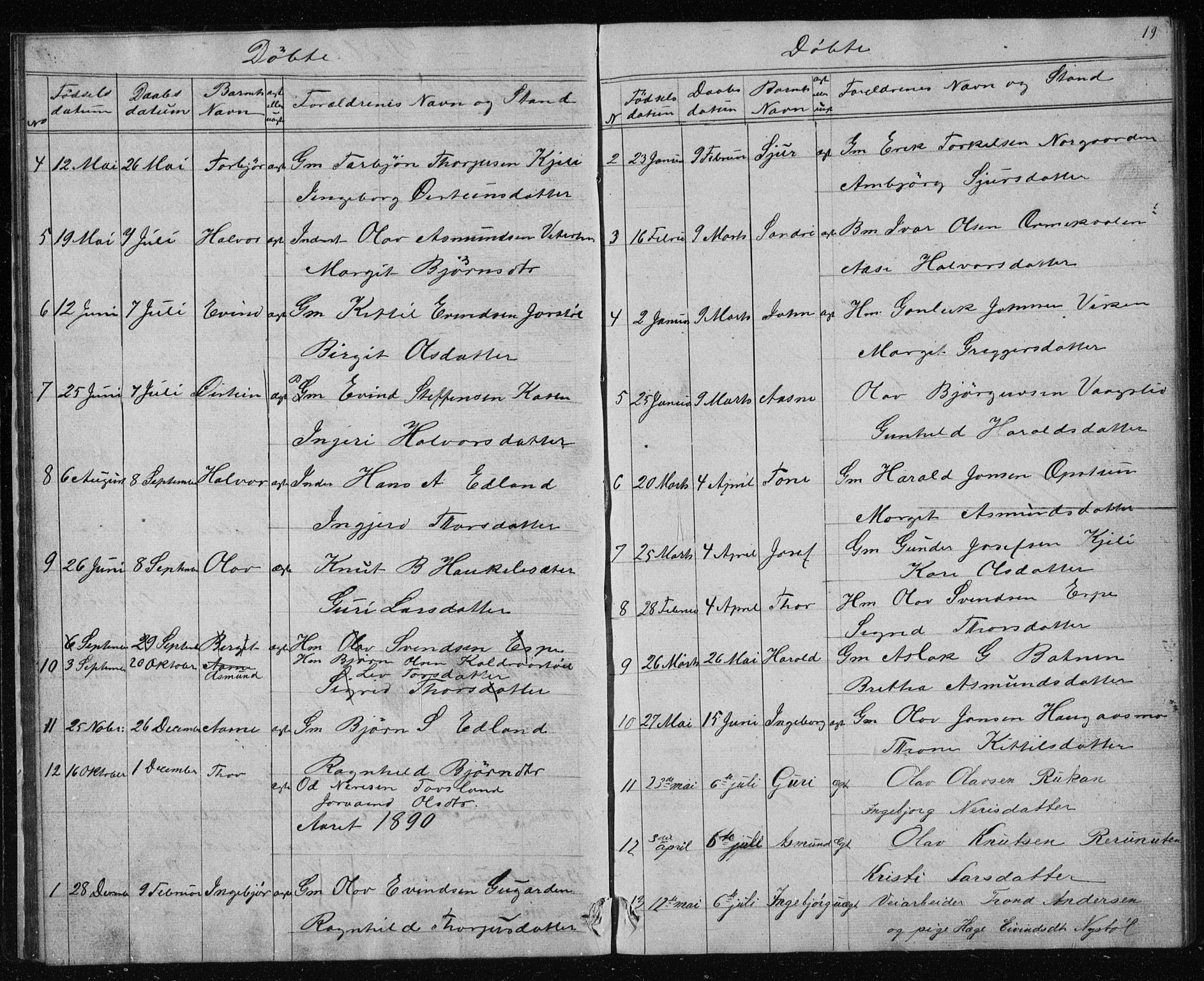 Vinje kirkebøker, SAKO/A-312/G/Gc/L0001: Parish register (copy) no. III 1, 1850-1893, p. 19