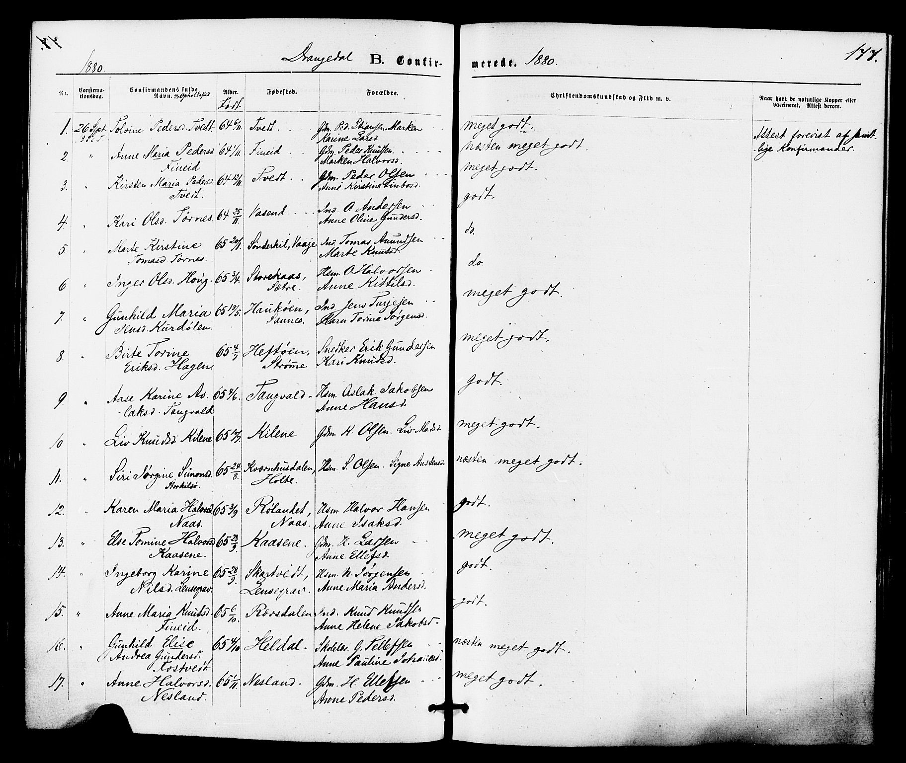 Drangedal kirkebøker, SAKO/A-258/F/Fa/L0009: Parish register (official) no. 9 /1, 1872-1884, p. 177