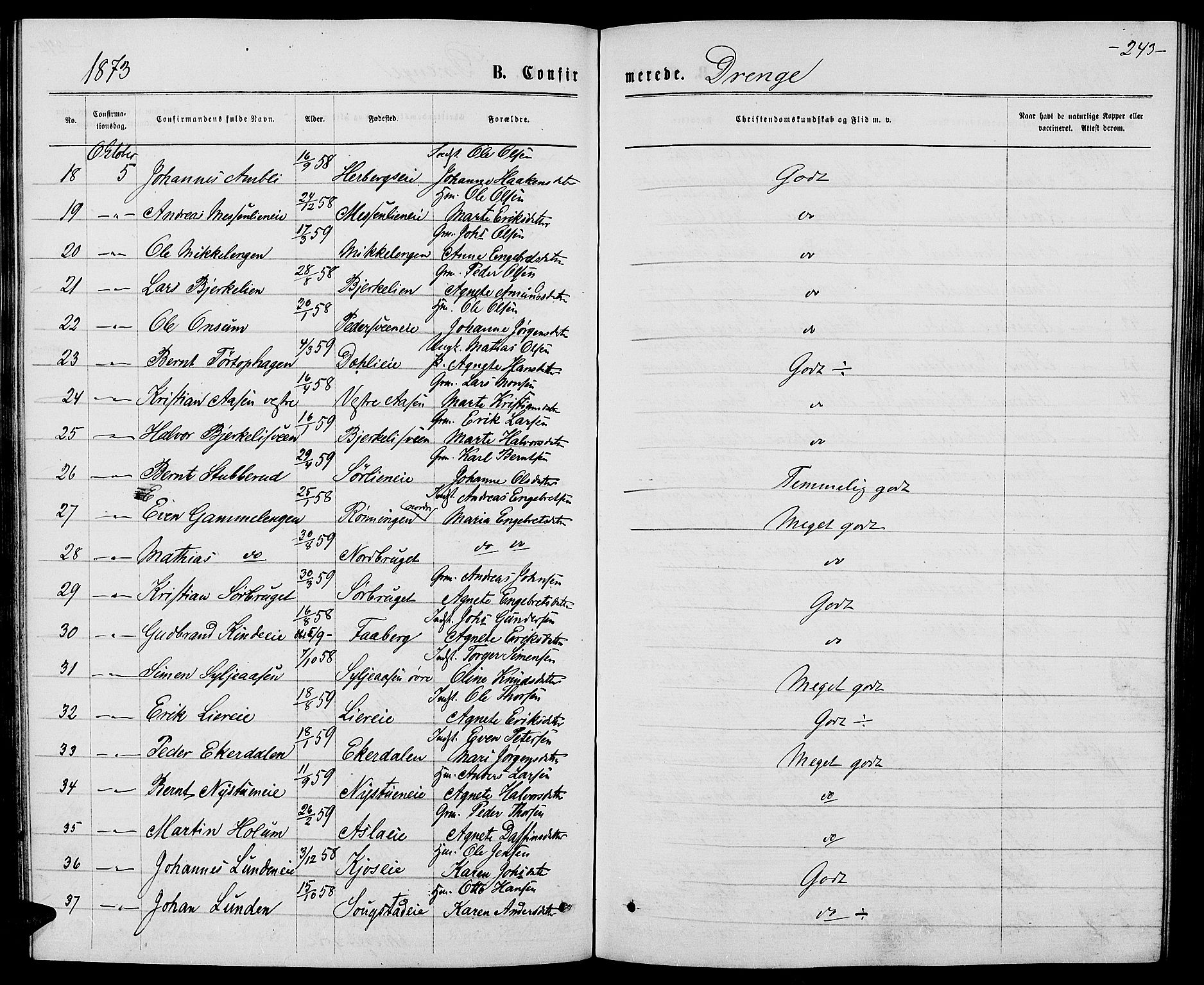 Ringsaker prestekontor, AV/SAH-PREST-014/L/La/L0008: Parish register (copy) no. 8, 1870-1878, p. 243