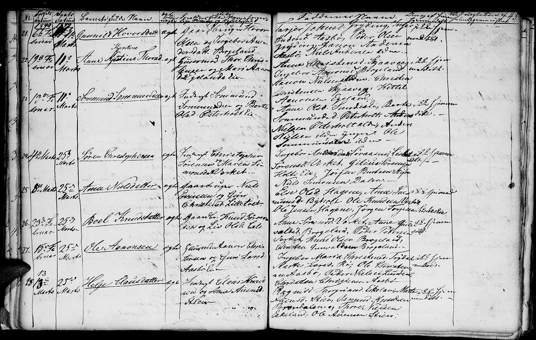 Gjerstad sokneprestkontor, AV/SAK-1111-0014/F/Fb/Fba/L0004: Parish register (copy) no. B 4, 1845-1853, p. 43