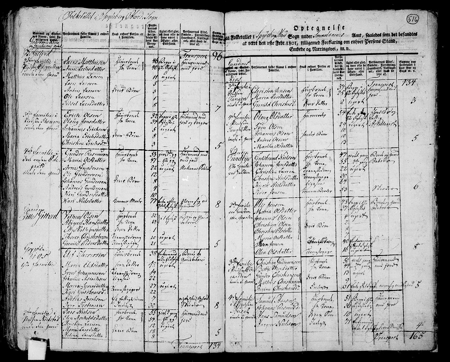 RA, 1801 census for 0123P Spydeberg, 1801, p. 515b-516a