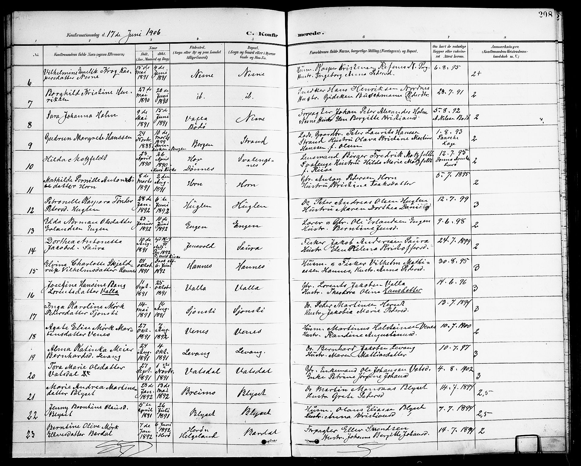 Ministerialprotokoller, klokkerbøker og fødselsregistre - Nordland, AV/SAT-A-1459/838/L0559: Parish register (copy) no. 838C06, 1893-1910, p. 208