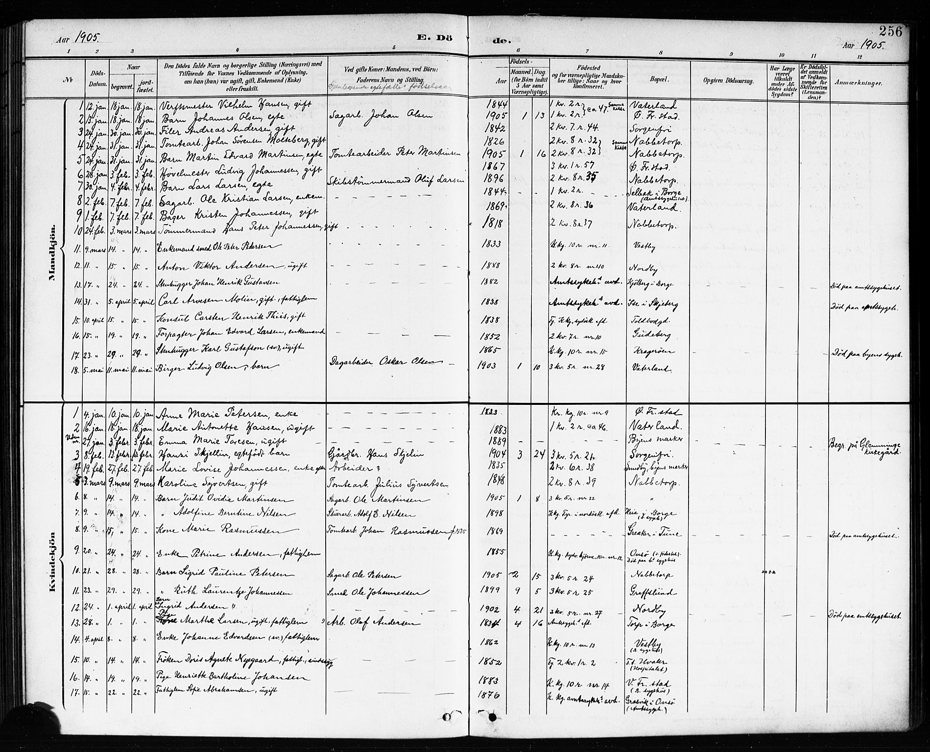 Østre Fredrikstad prestekontor Kirkebøker, AV/SAO-A-10907/G/Ga/L0002: Parish register (copy) no. 2, 1900-1919, p. 256