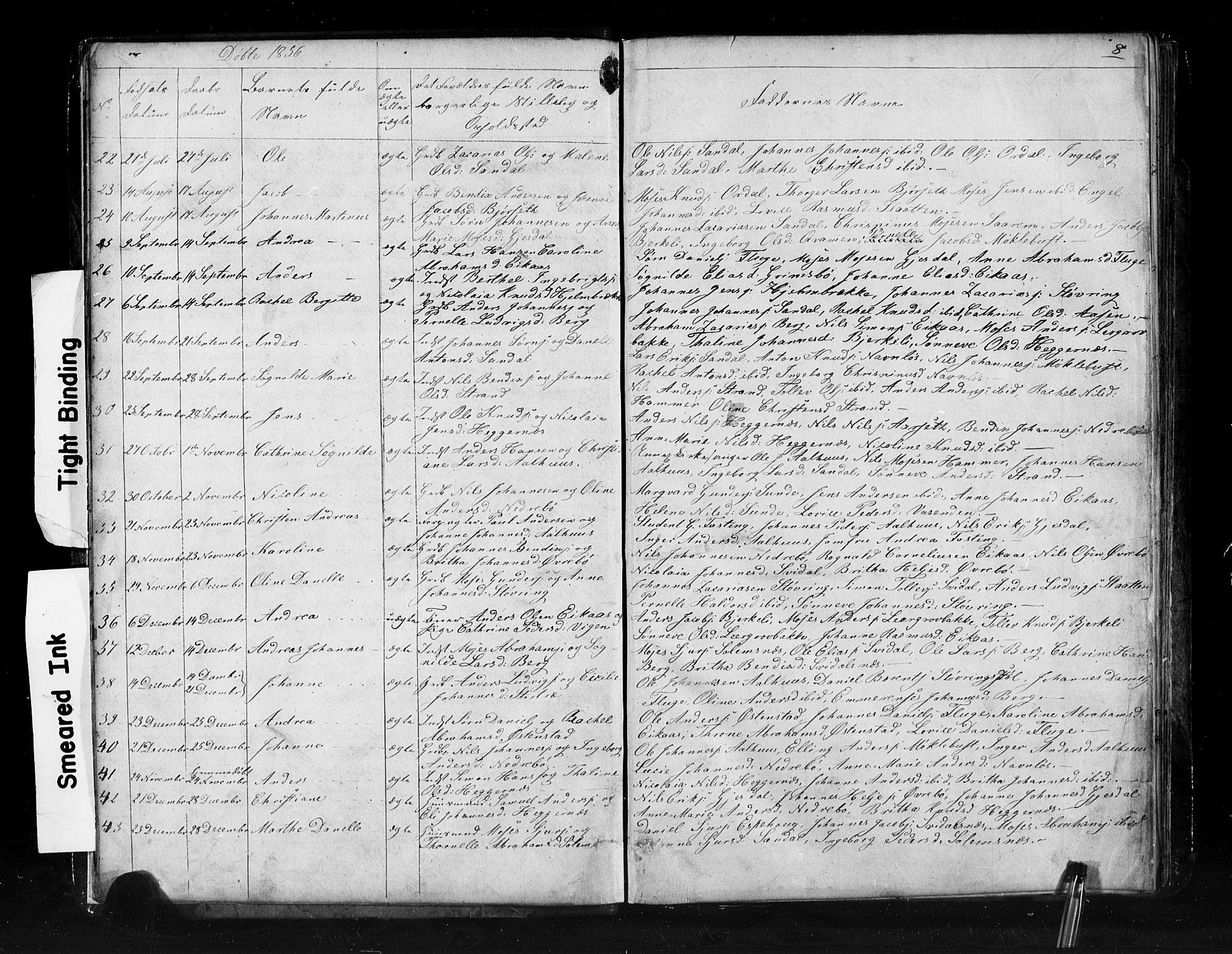 Jølster sokneprestembete, AV/SAB-A-80701/H/Hab/Haba/L0001: Parish register (copy) no. A 1, 1853-1894, p. 8