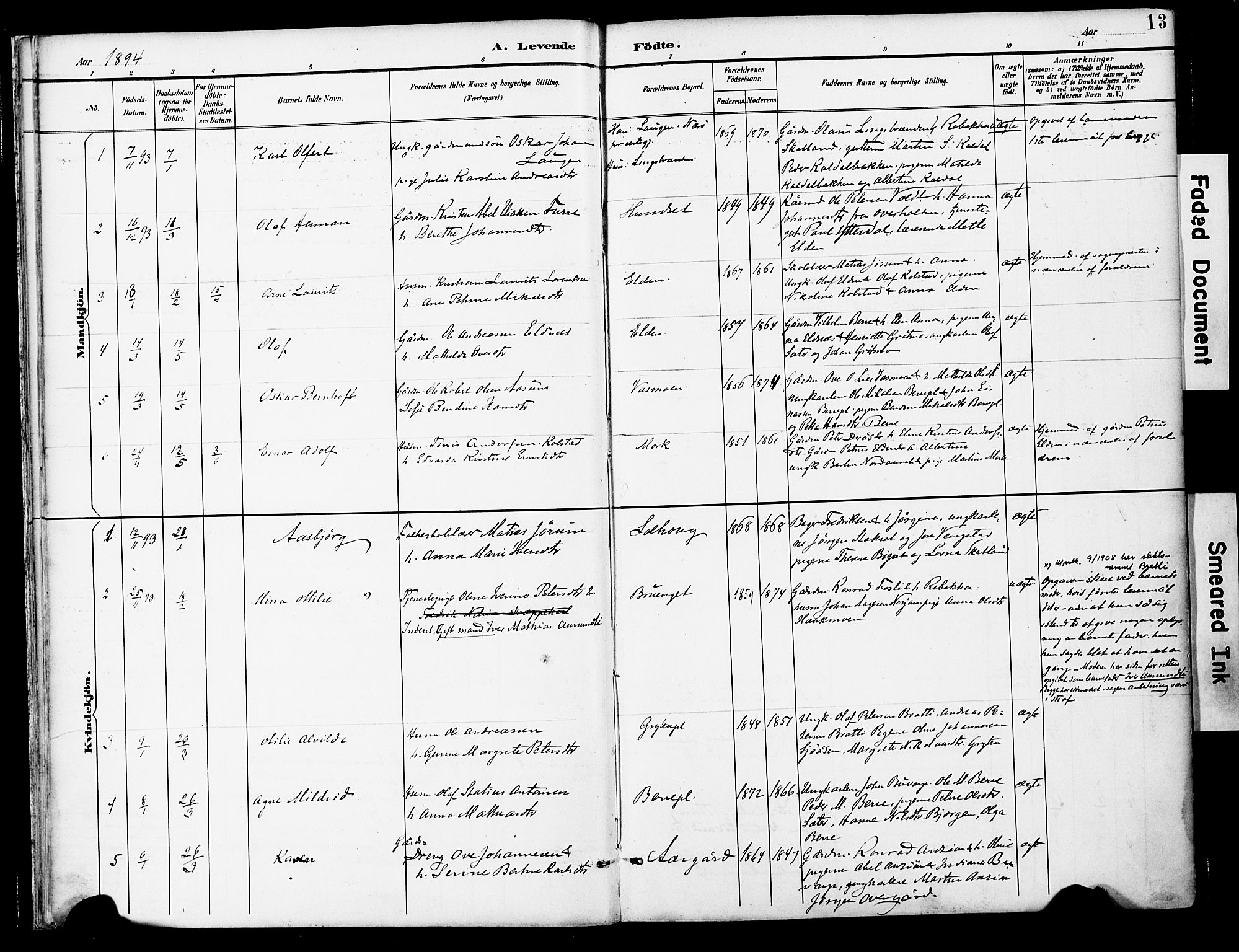 Ministerialprotokoller, klokkerbøker og fødselsregistre - Nord-Trøndelag, SAT/A-1458/742/L0409: Parish register (official) no. 742A02, 1891-1905, p. 13
