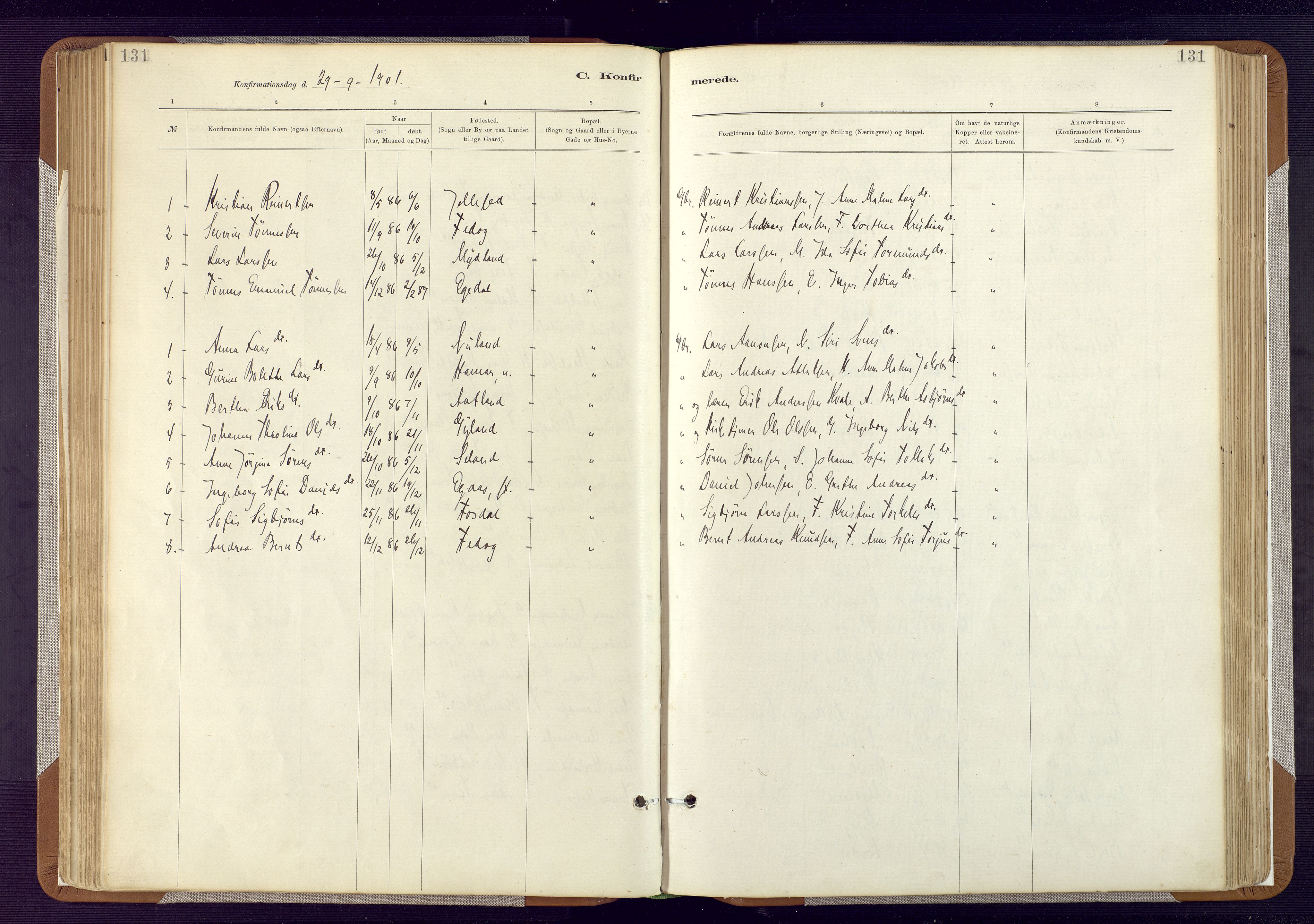 Bakke sokneprestkontor, SAK/1111-0002/F/Fa/Fab/L0003: Parish register (official) no. A 3, 1884-1921, p. 131