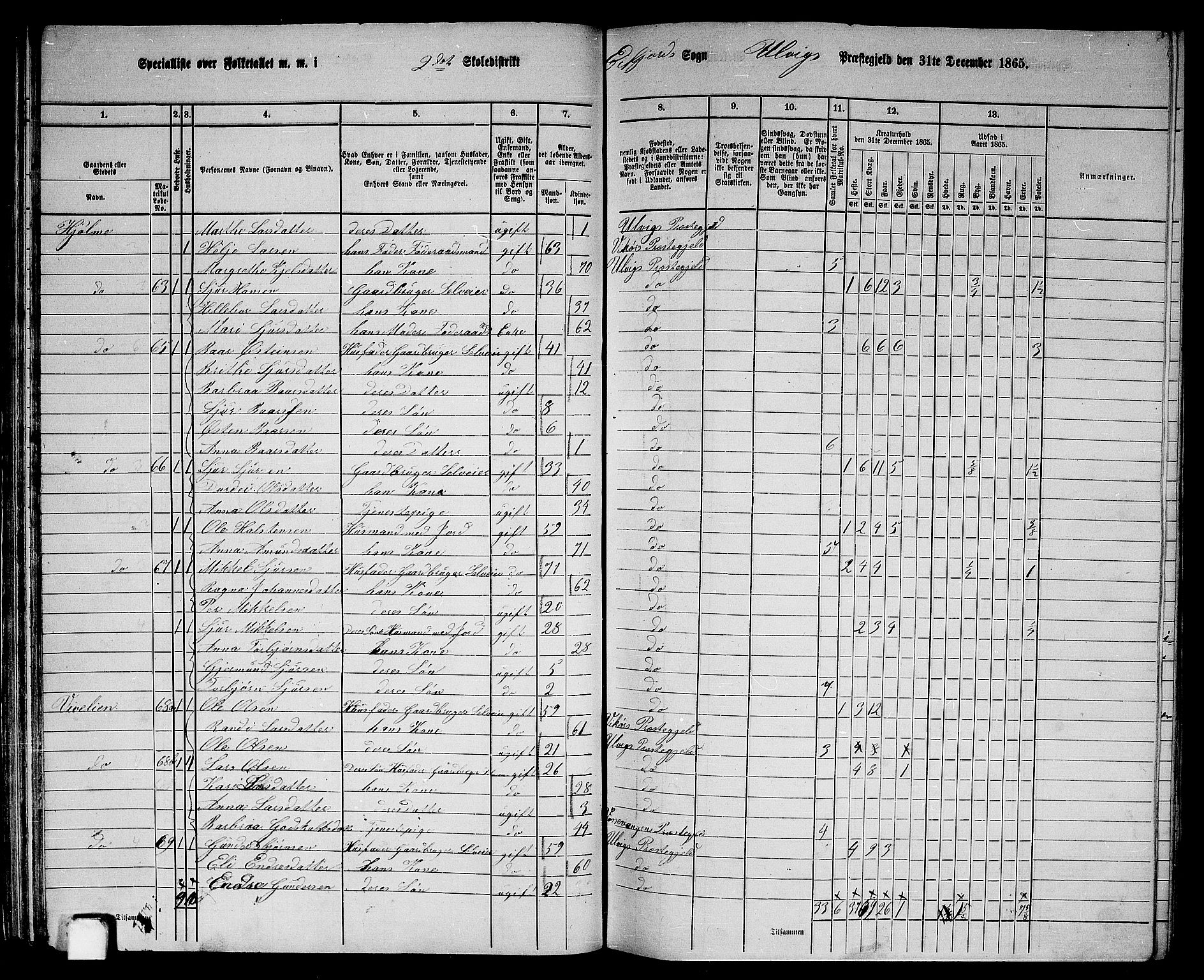 RA, 1865 census for Ulvik, 1865, p. 45