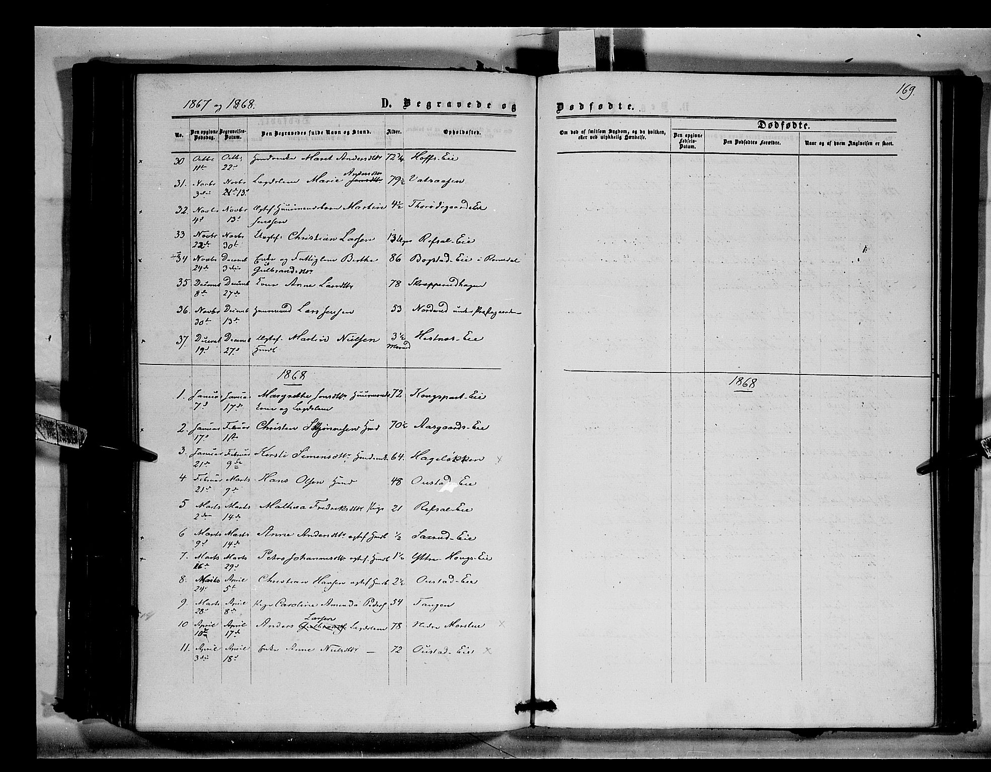 Stange prestekontor, SAH/PREST-002/K/L0014: Parish register (official) no. 14, 1862-1879, p. 169