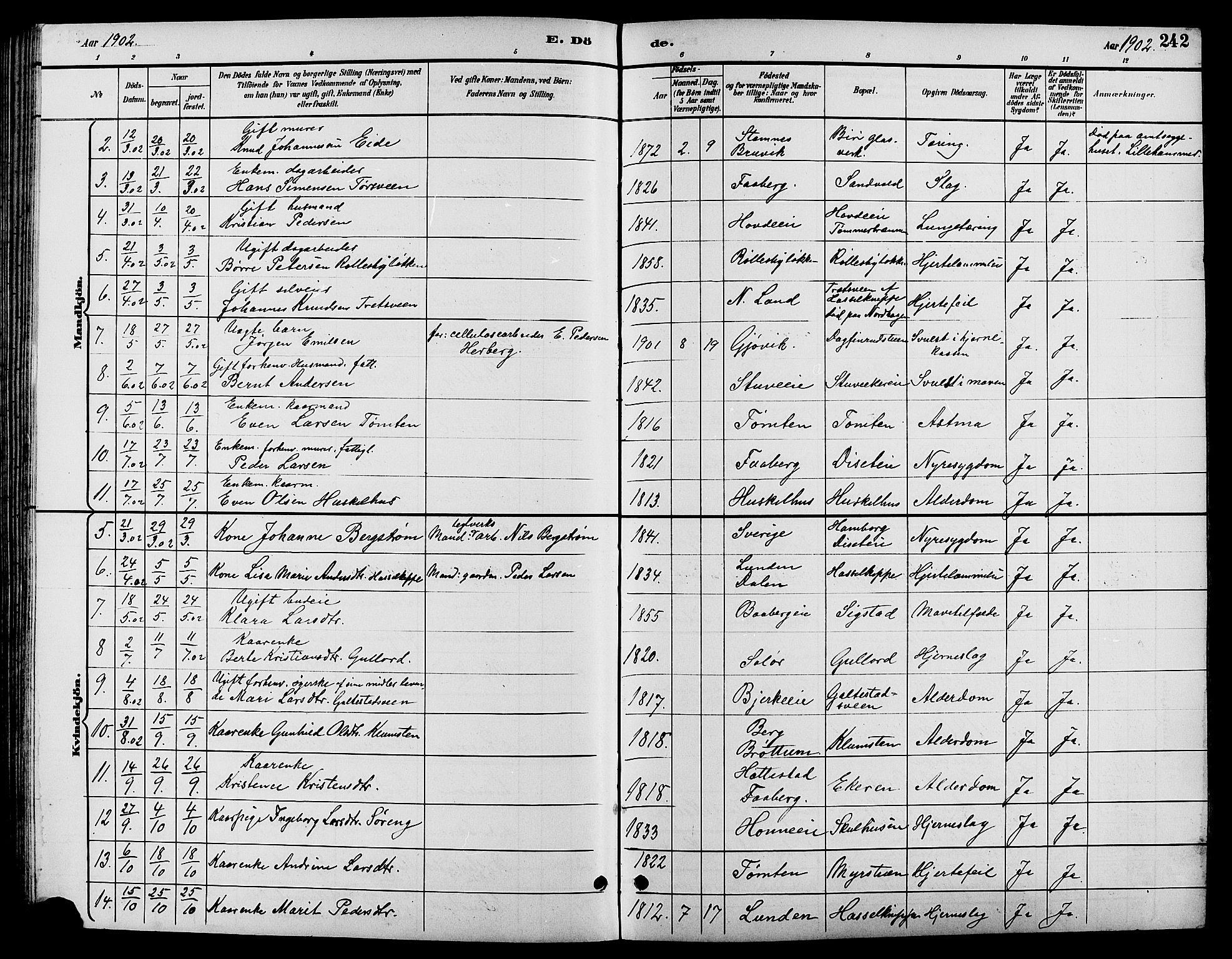 Biri prestekontor, SAH/PREST-096/H/Ha/Hab/L0004: Parish register (copy) no. 4, 1892-1909, p. 242