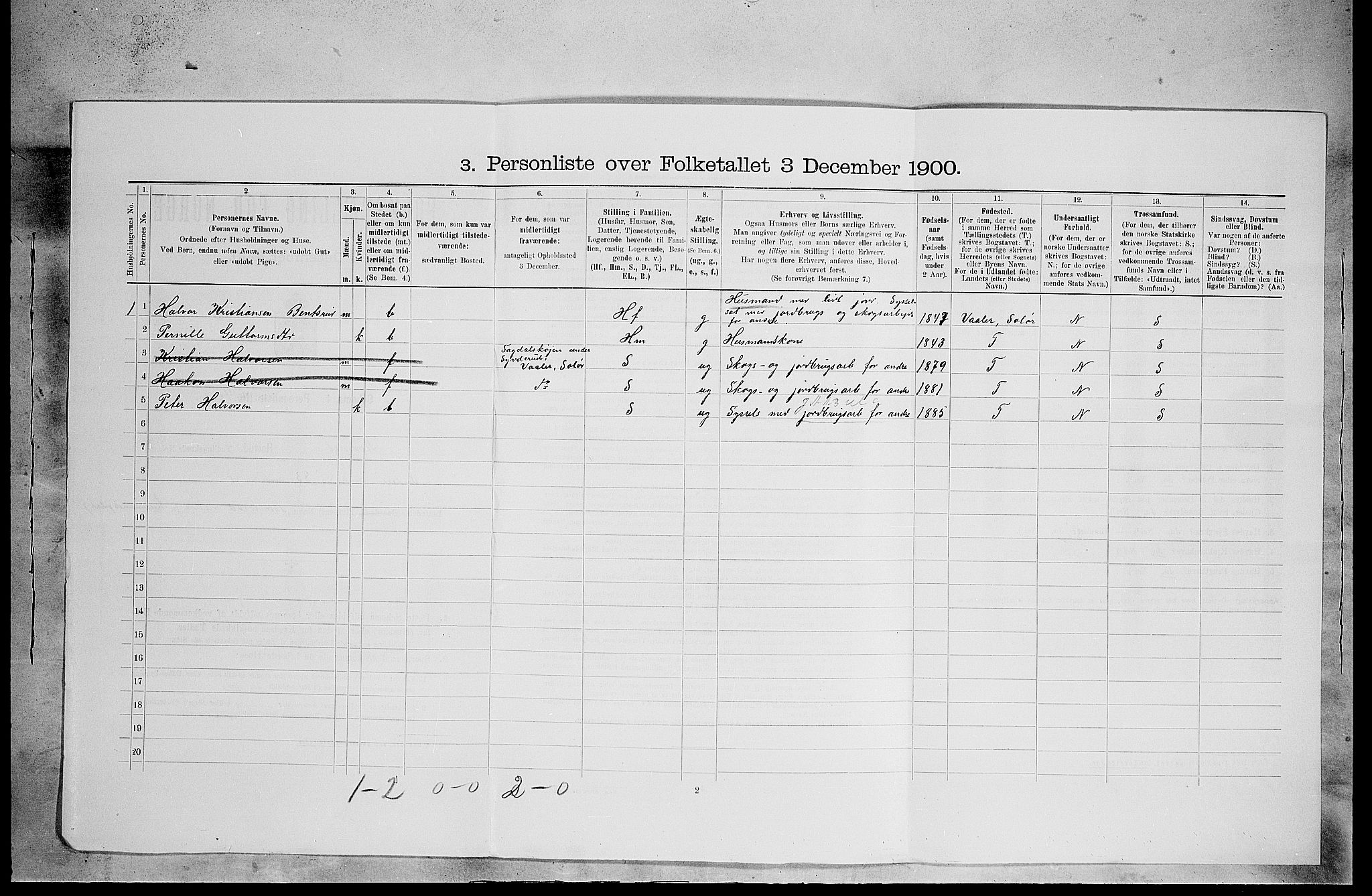 SAH, 1900 census for Åsnes, 1900, p. 499