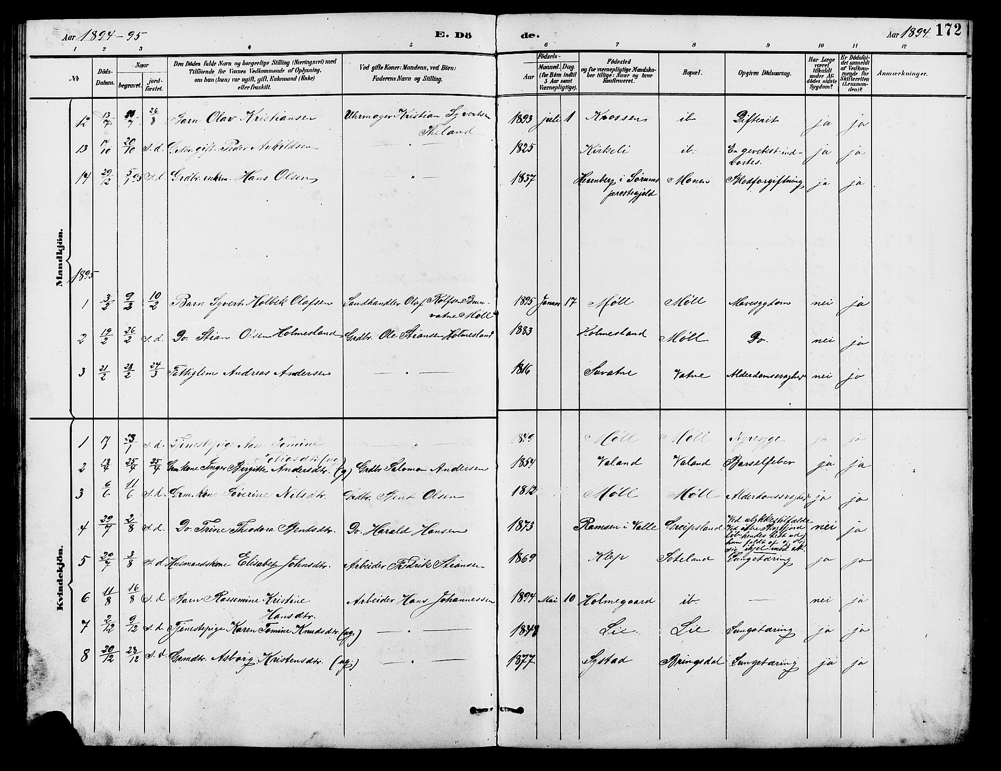 Holum sokneprestkontor, SAK/1111-0022/F/Fb/Fba/L0005: Parish register (copy) no. B 5, 1891-1909, p. 172