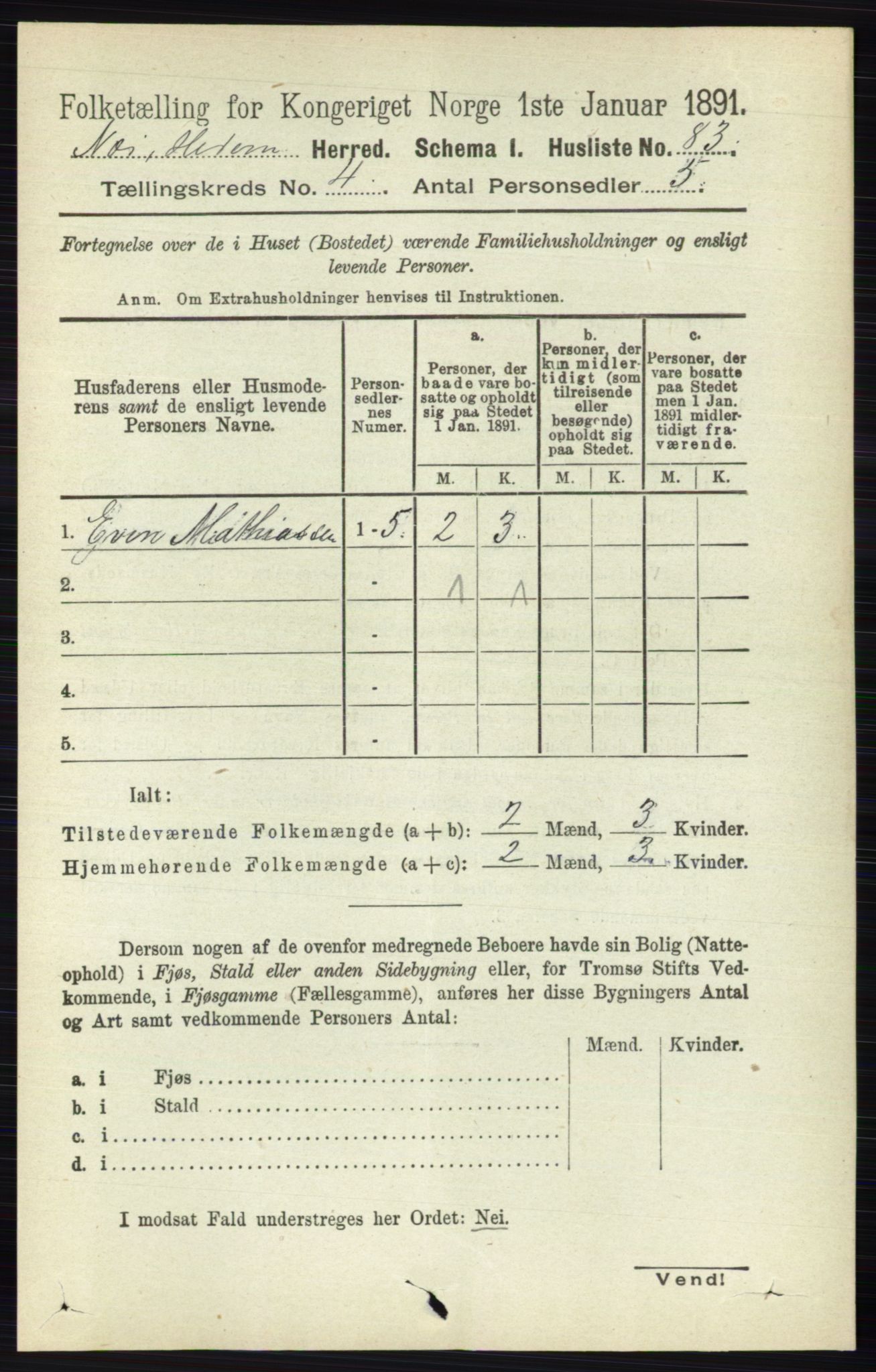 RA, 1891 census for 0411 Nes, 1891, p. 2036