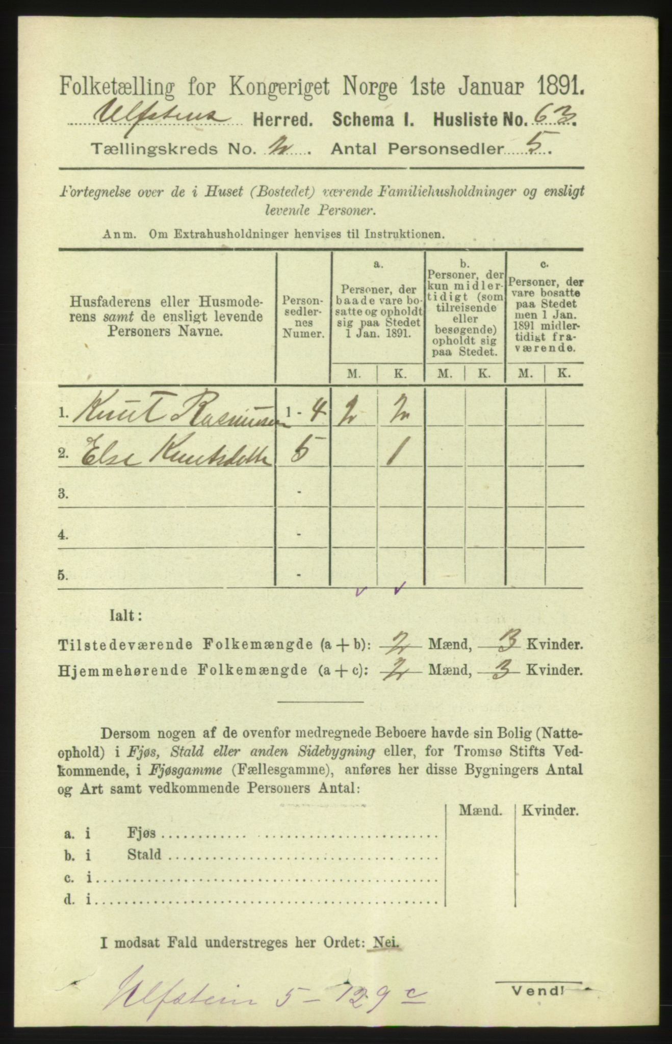 RA, 1891 census for 1516 Ulstein, 1891, p. 317