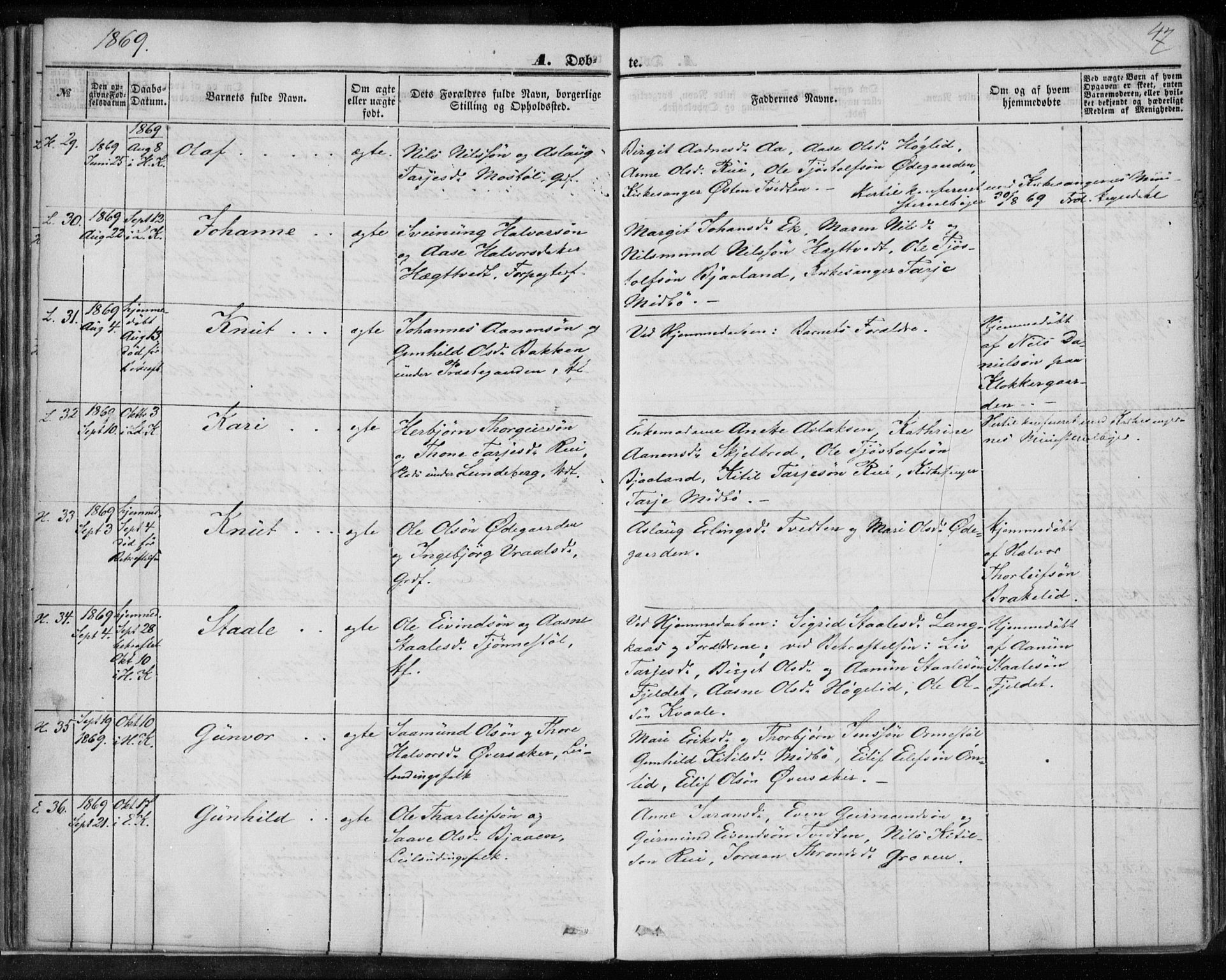 Lårdal kirkebøker, SAKO/A-284/F/Fa/L0006: Parish register (official) no. I 6, 1861-1886, p. 47
