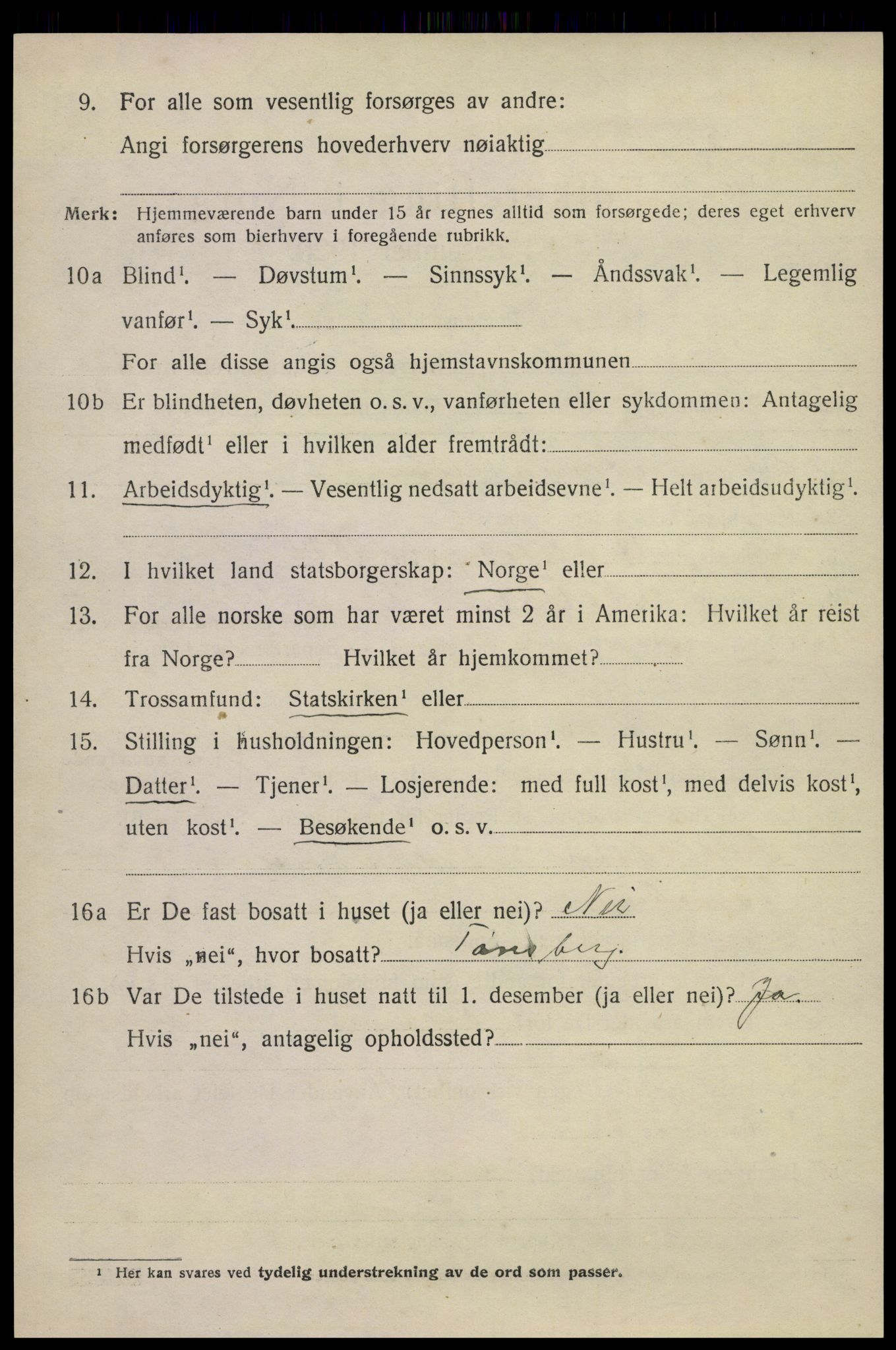 SAKO, 1920 census for Nøtterøy, 1920, p. 15204