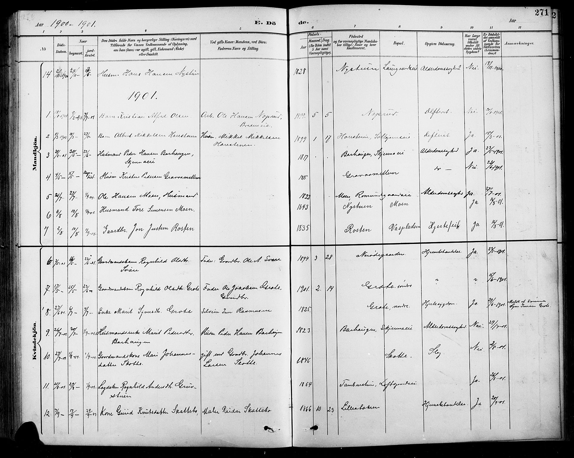 Sel prestekontor, SAH/PREST-074/H/Ha/Hab/L0001: Parish register (copy) no. 1, 1894-1923, p. 271