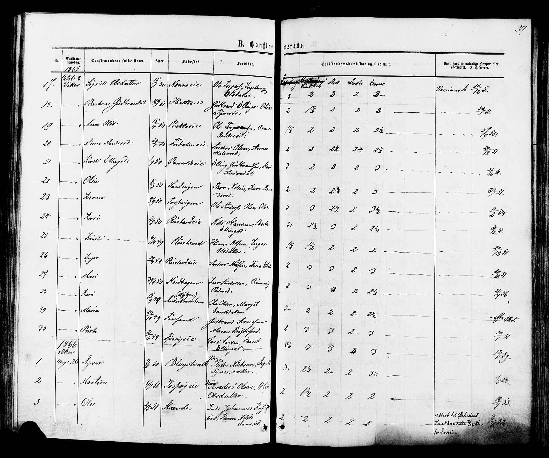 Ådal kirkebøker, SAKO/A-248/F/Fa/L0001: Parish register (official) no. I 1, 1857-1883, p. 317