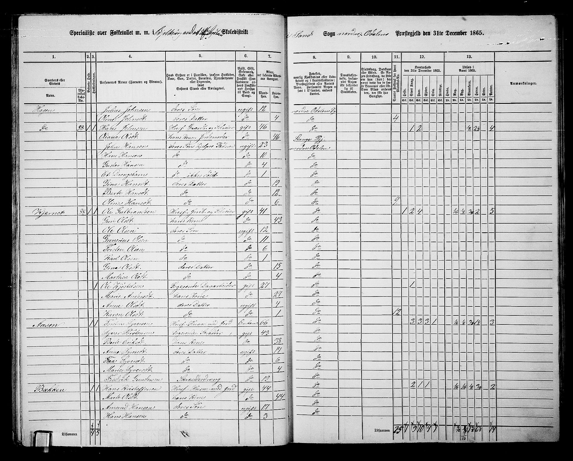 RA, 1865 census for Nord-Odal, 1865, p. 26