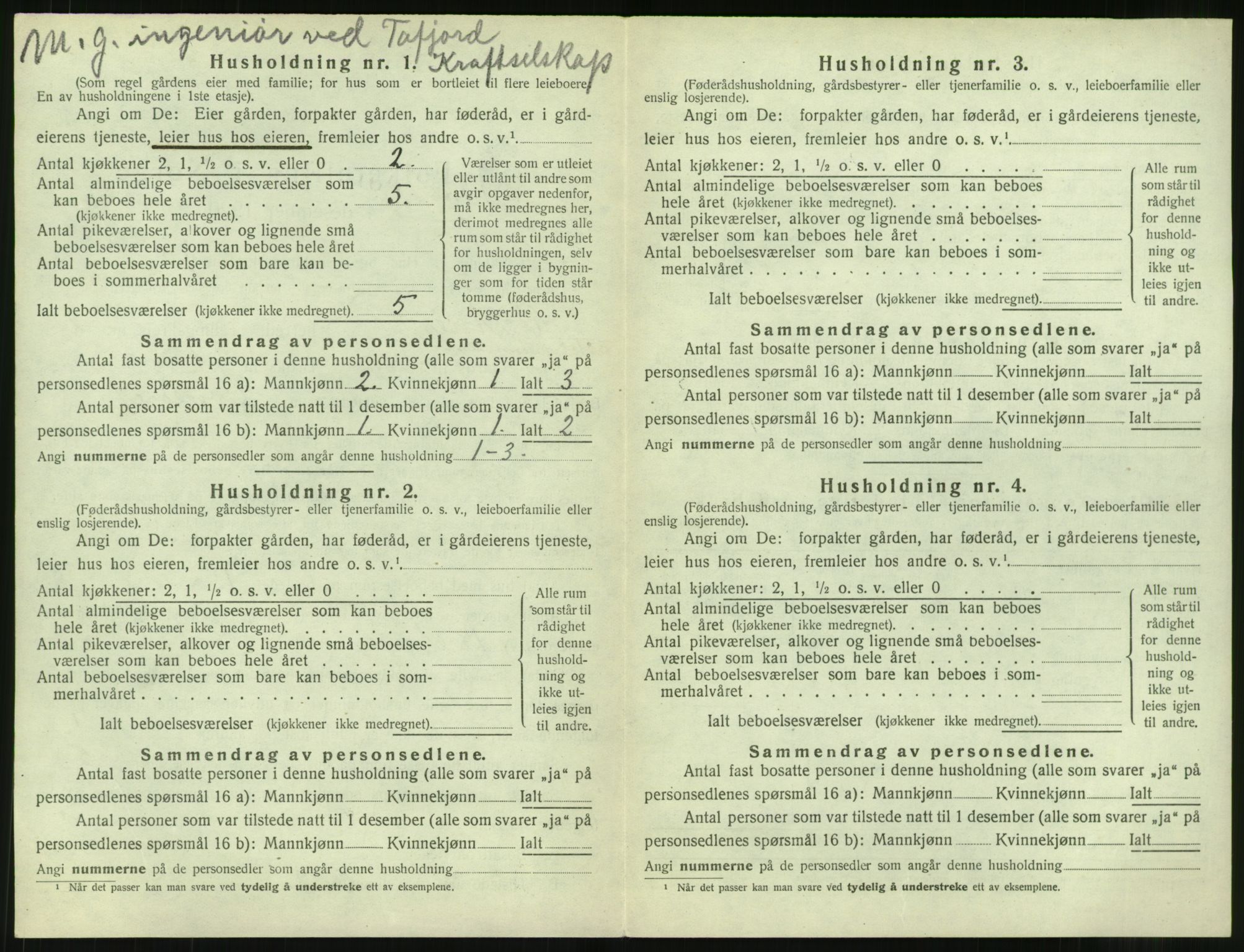 SAT, 1920 census for Vestnes, 1920, p. 304