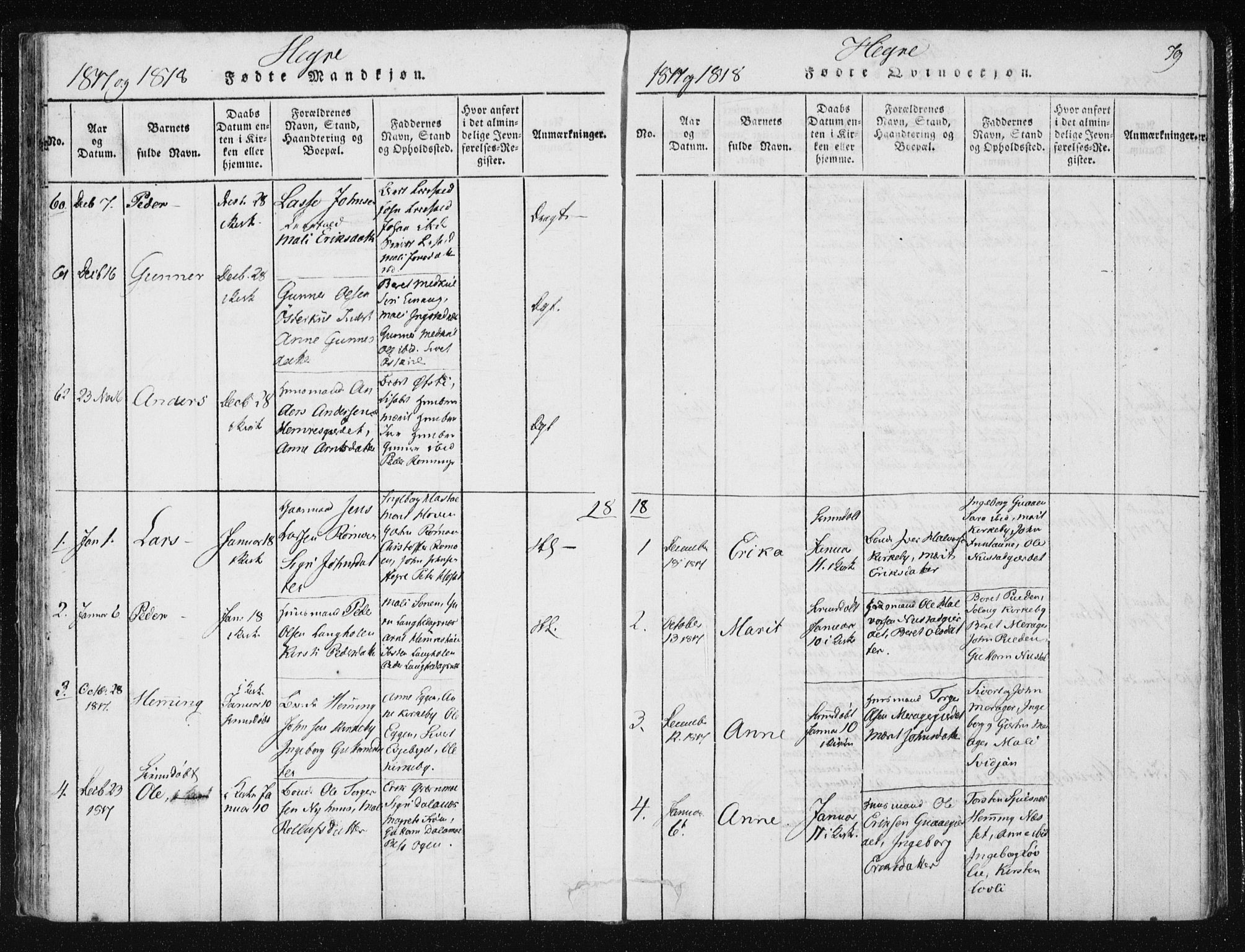 Ministerialprotokoller, klokkerbøker og fødselsregistre - Nord-Trøndelag, AV/SAT-A-1458/709/L0061: Parish register (official) no. 709A08 /4, 1815-1819, p. 79