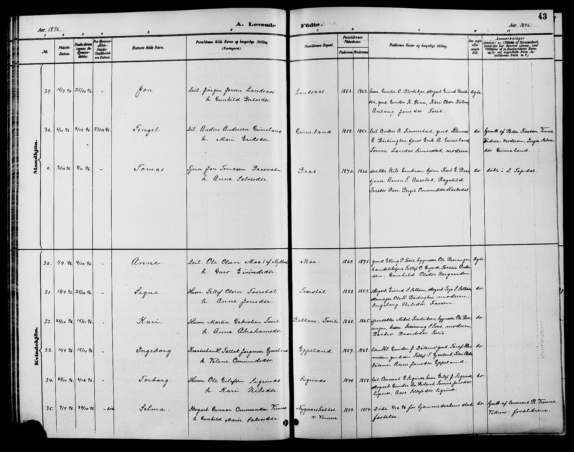 Åmli sokneprestkontor, SAK/1111-0050/F/Fb/Fbc/L0004: Parish register (copy) no. B 4, 1889-1902, p. 43