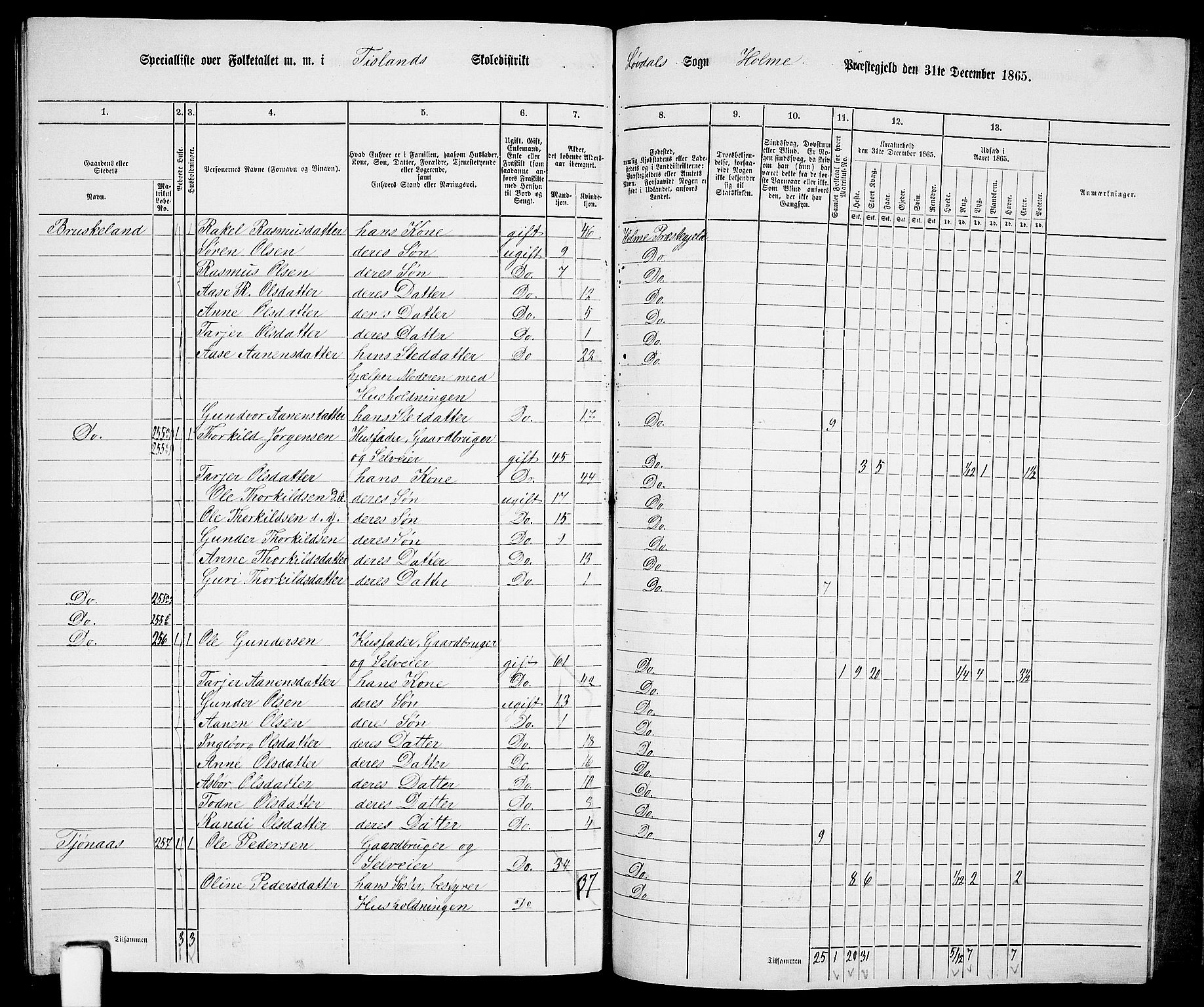 RA, 1865 census for Holum, 1865, p. 162