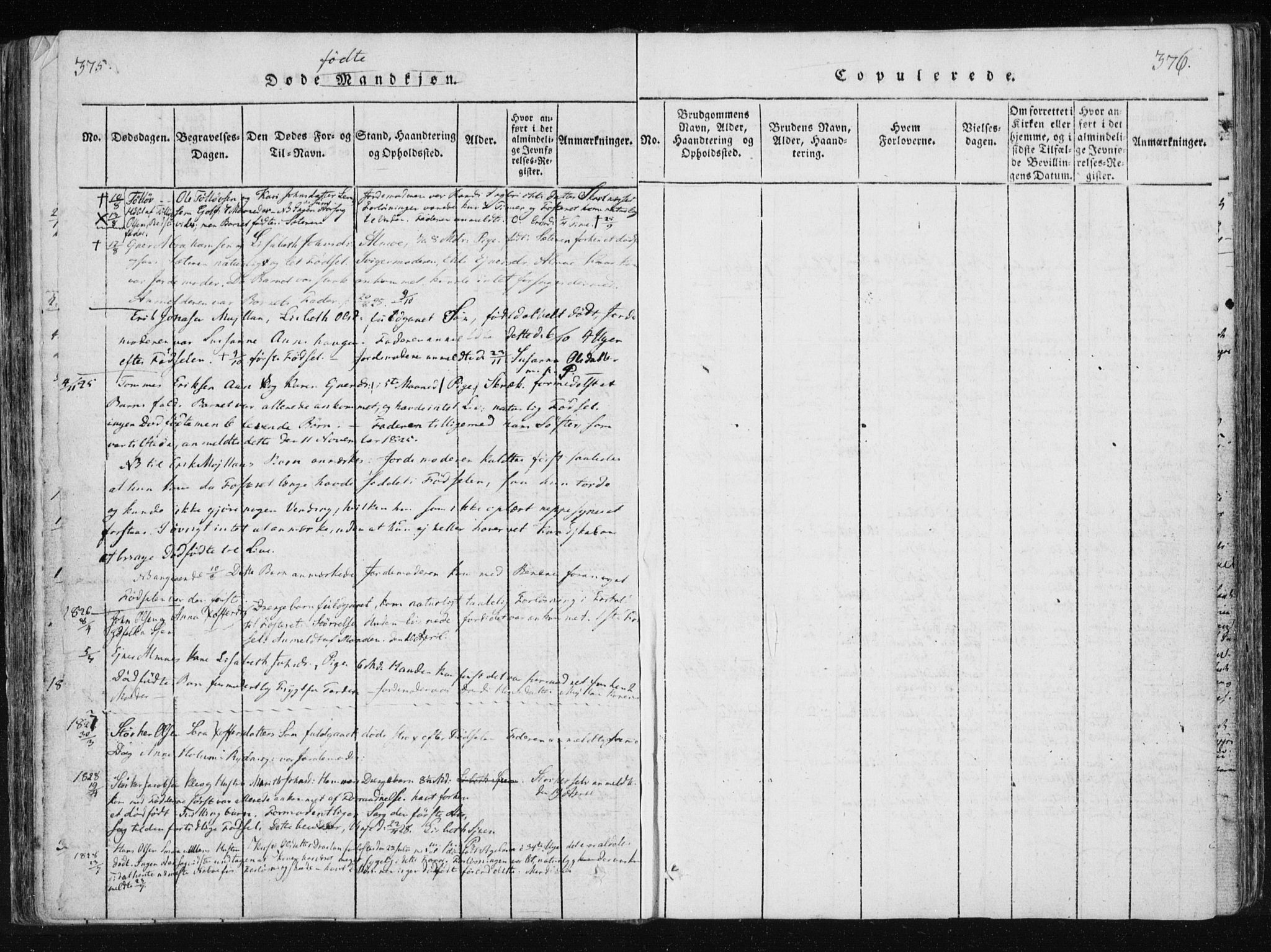 Ministerialprotokoller, klokkerbøker og fødselsregistre - Nord-Trøndelag, SAT/A-1458/749/L0469: Parish register (official) no. 749A03, 1817-1857, p. 375-376