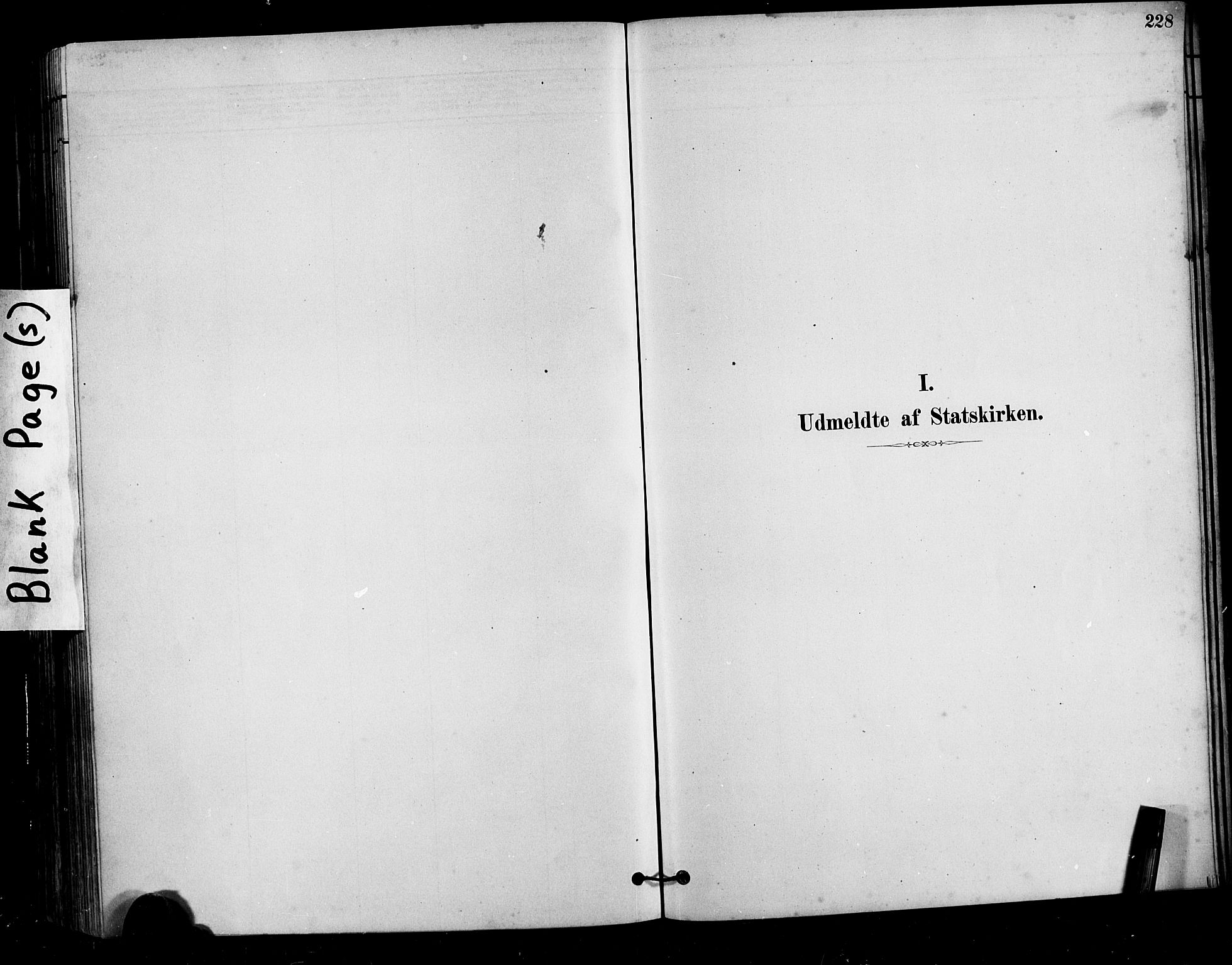 Ministerialprotokoller, klokkerbøker og fødselsregistre - Møre og Romsdal, SAT/A-1454/525/L0376: Parish register (copy) no. 525C02, 1880-1902, p. 228