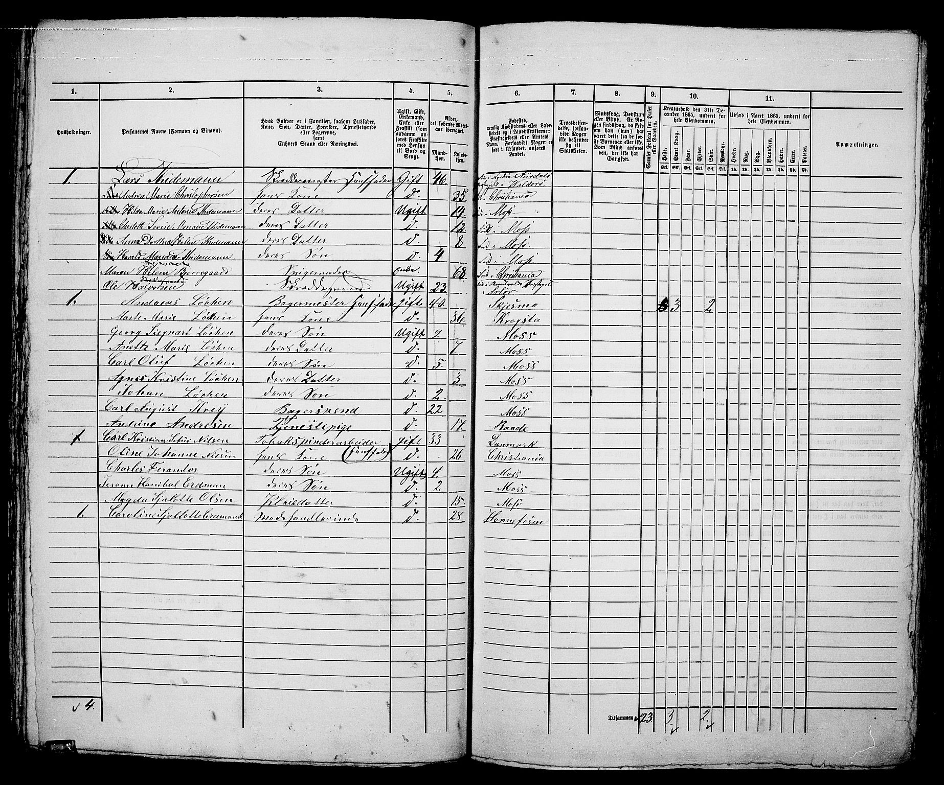 RA, 1865 census for Moss/Moss, 1865, p. 170