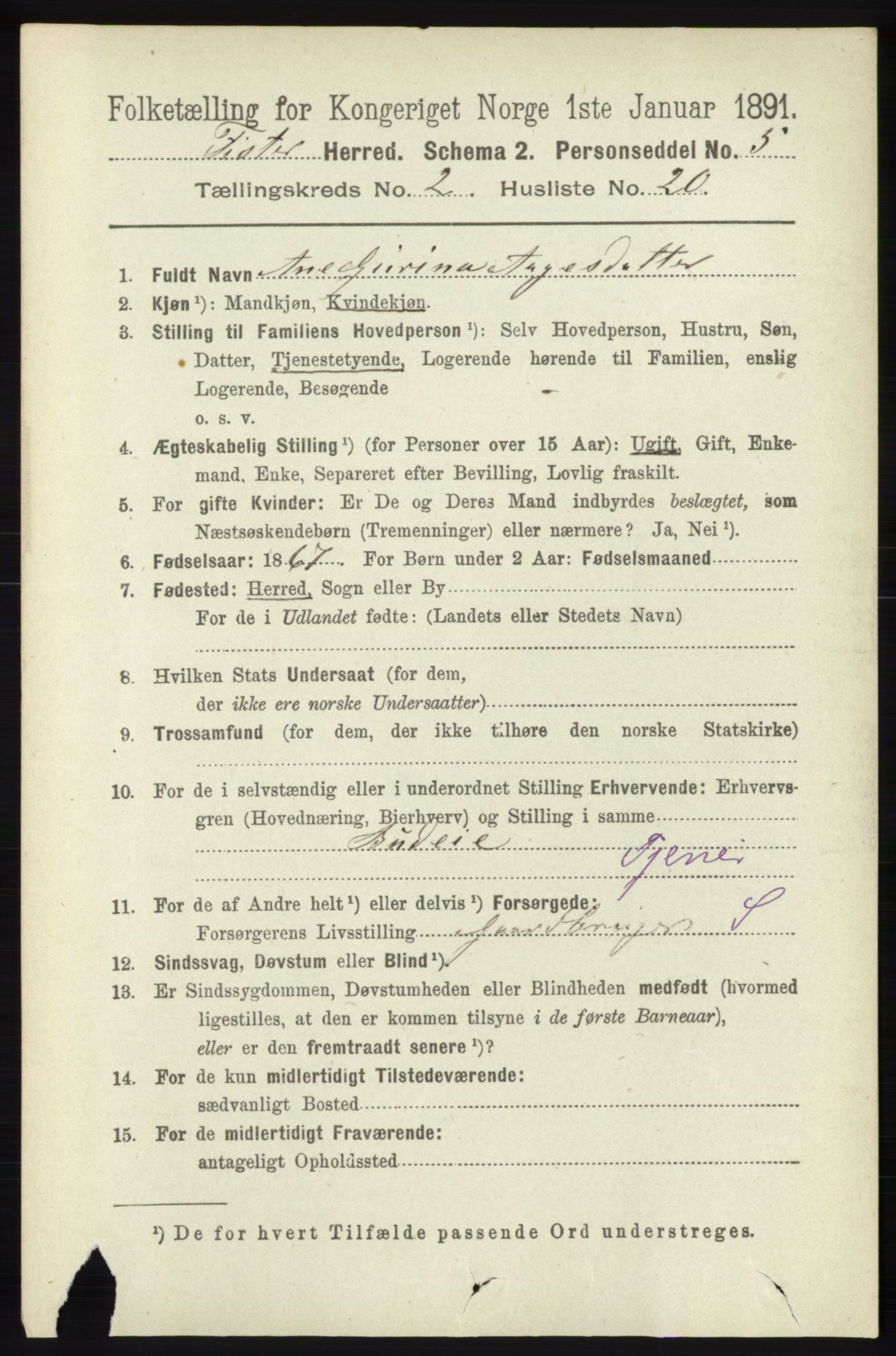 RA, 1891 census for 1132 Fister, 1891, p. 467