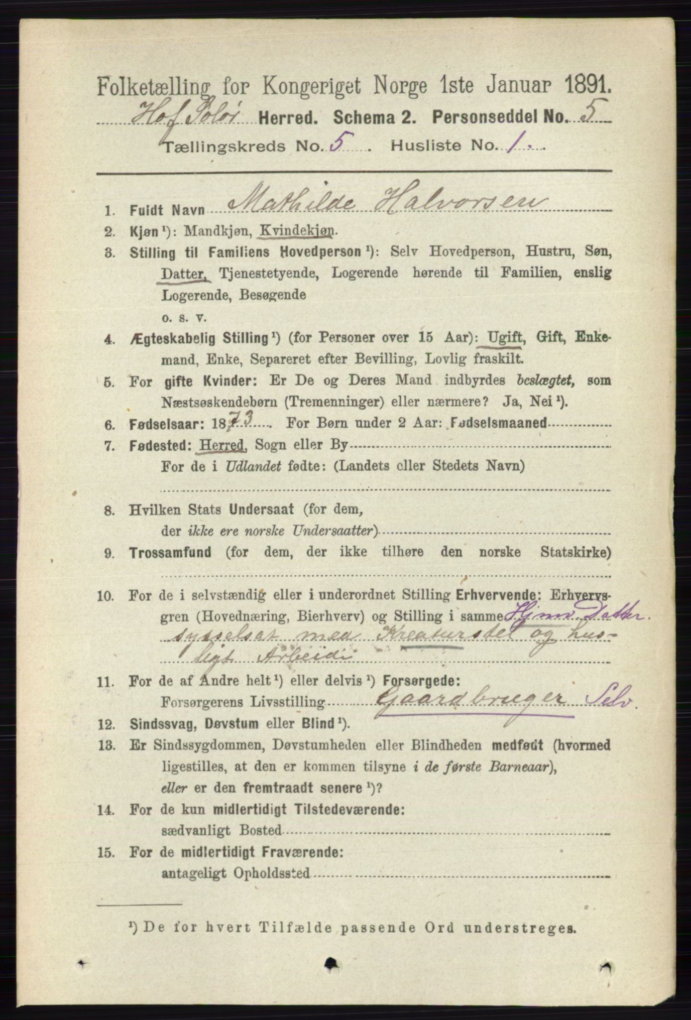 RA, 1891 census for 0424 Hof, 1891, p. 1885