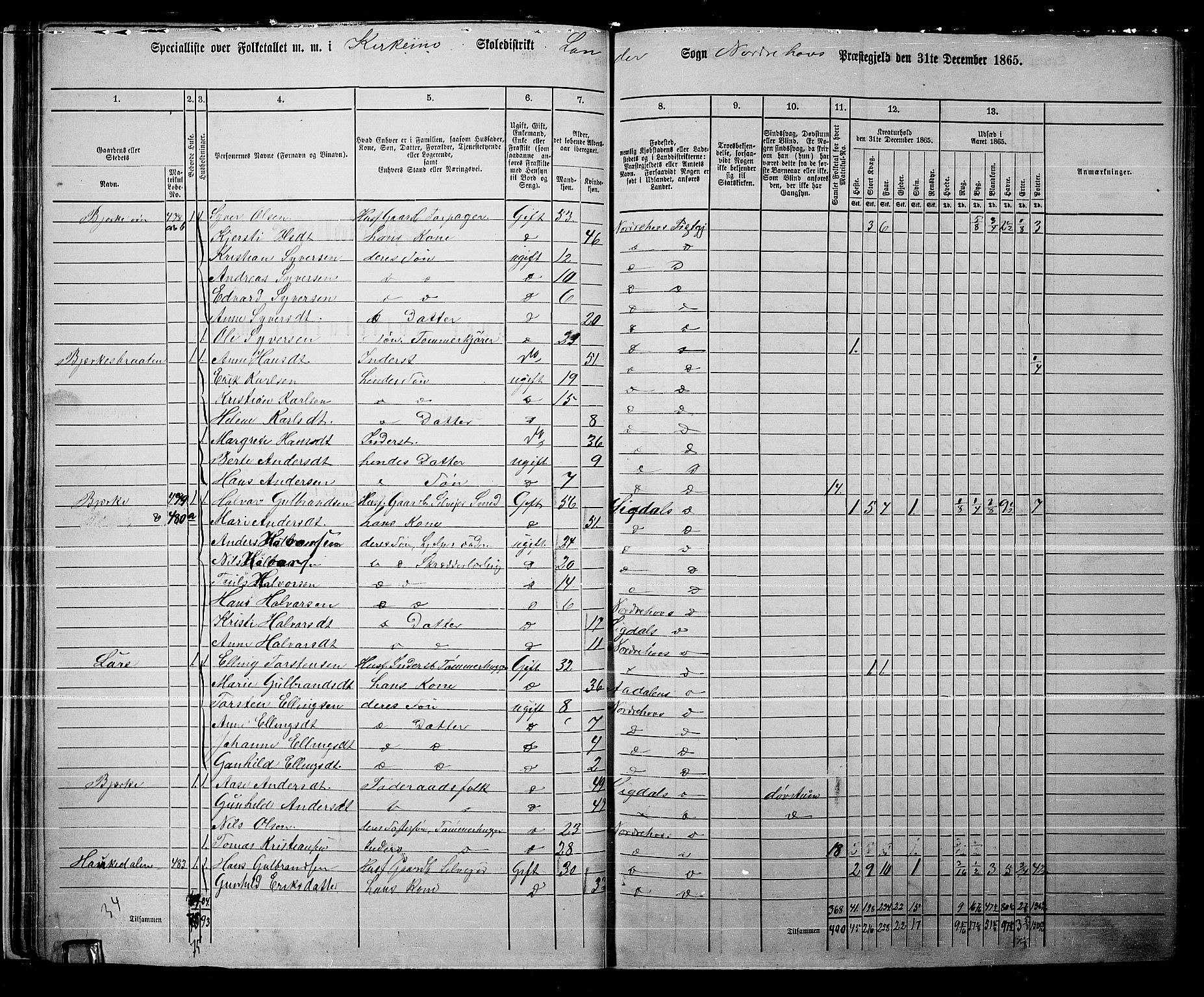 RA, 1865 census for Norderhov/Norderhov, Haug og Lunder, 1865, p. 42