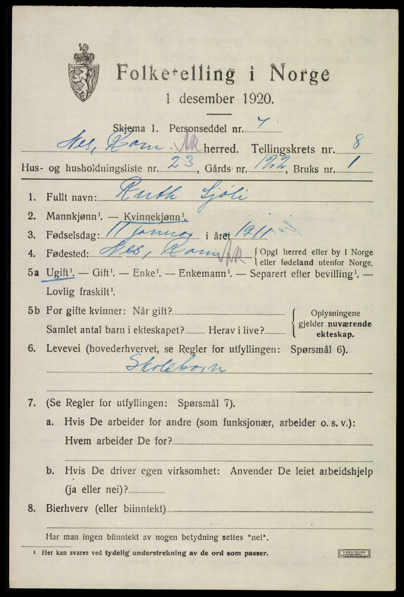 SAO, 1920 census for Nes, 1920, p. 9614